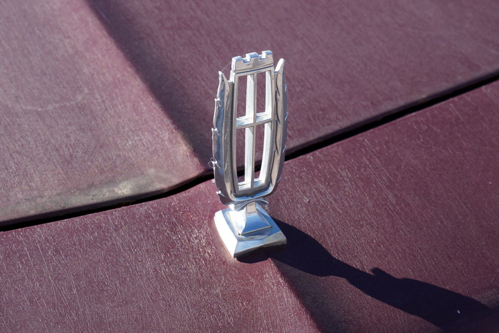 Sony a6000 sample photo. Mercury marquis colony park photography