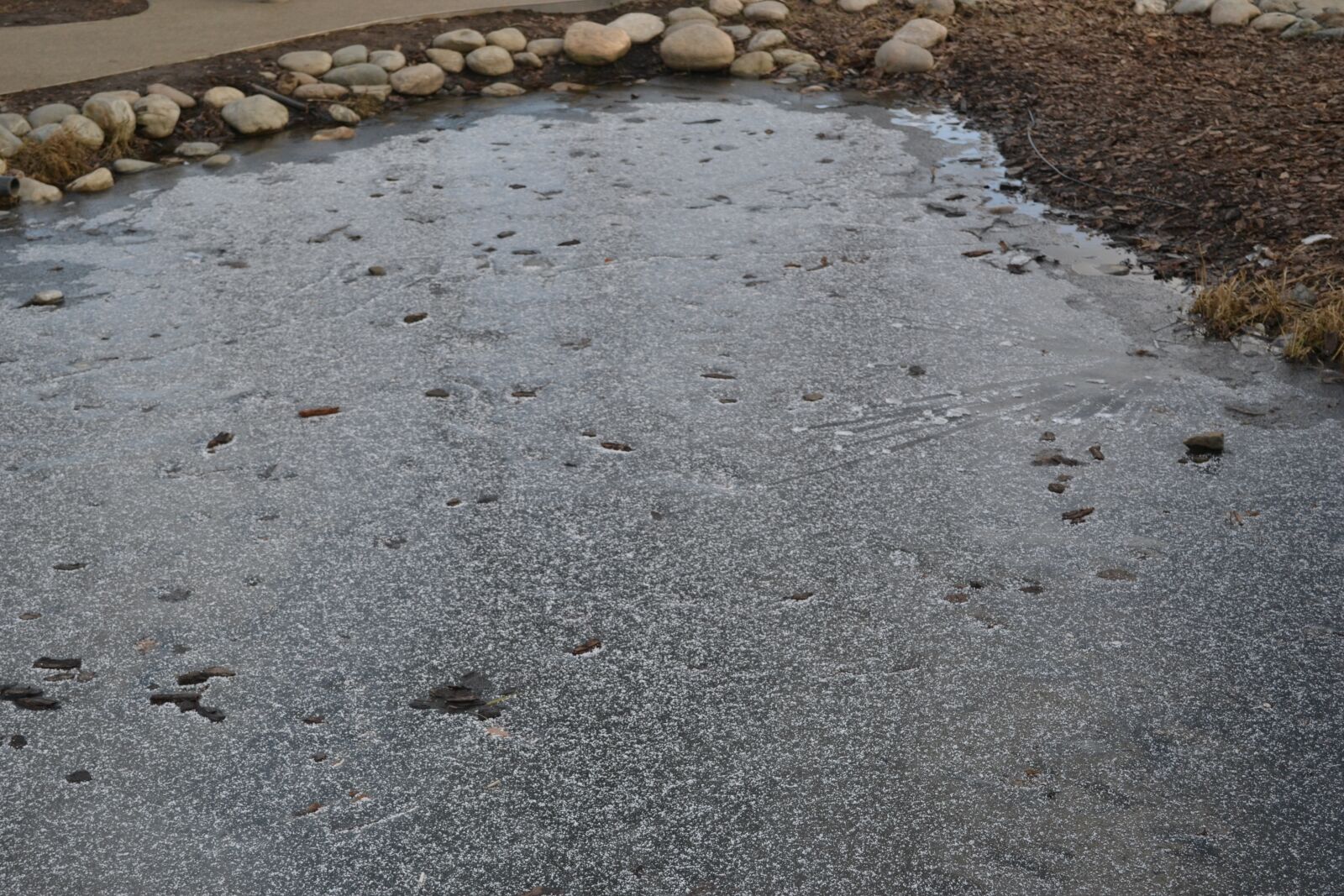 Nikon D3100 sample photo. Ice, puddle, nature photography