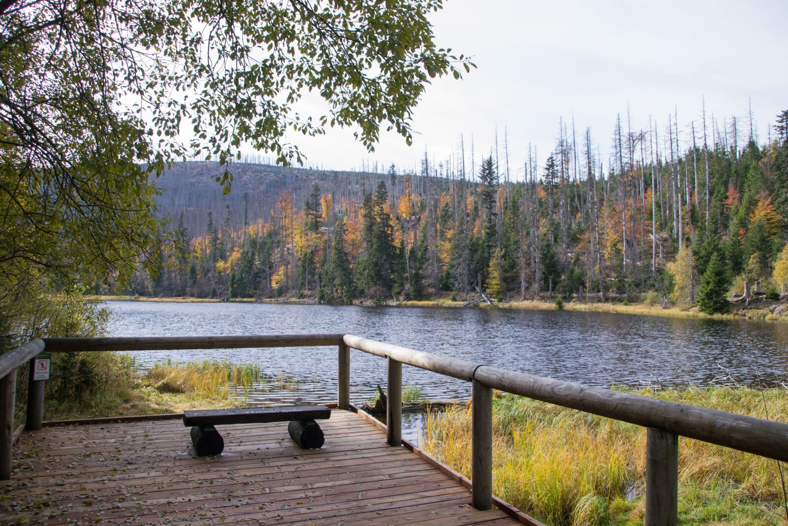Nikon D3100 sample photo. Lake, nature, landscape photography