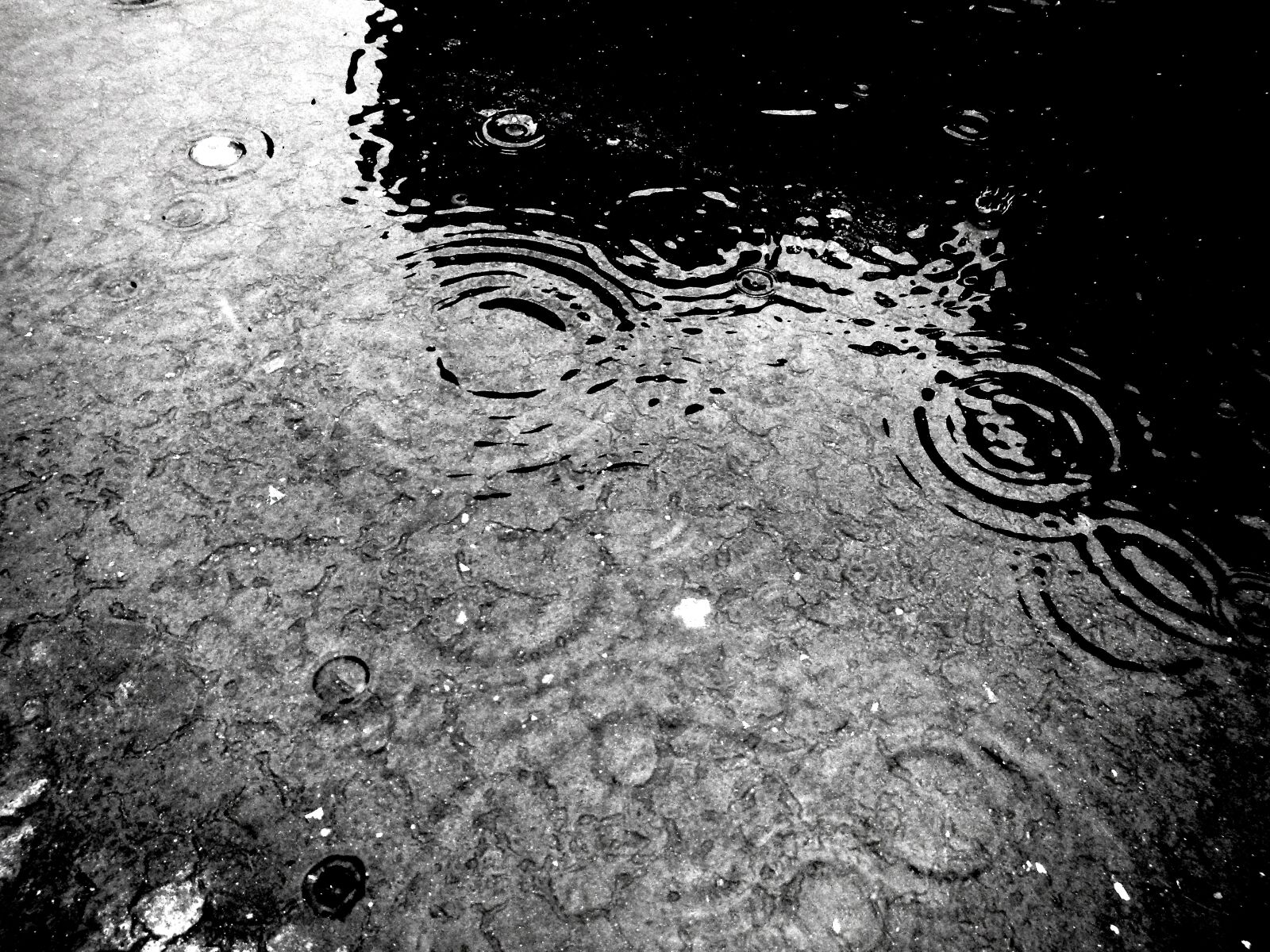 Nikon Coolpix AW110 sample photo. Drops, rain, wet photography
