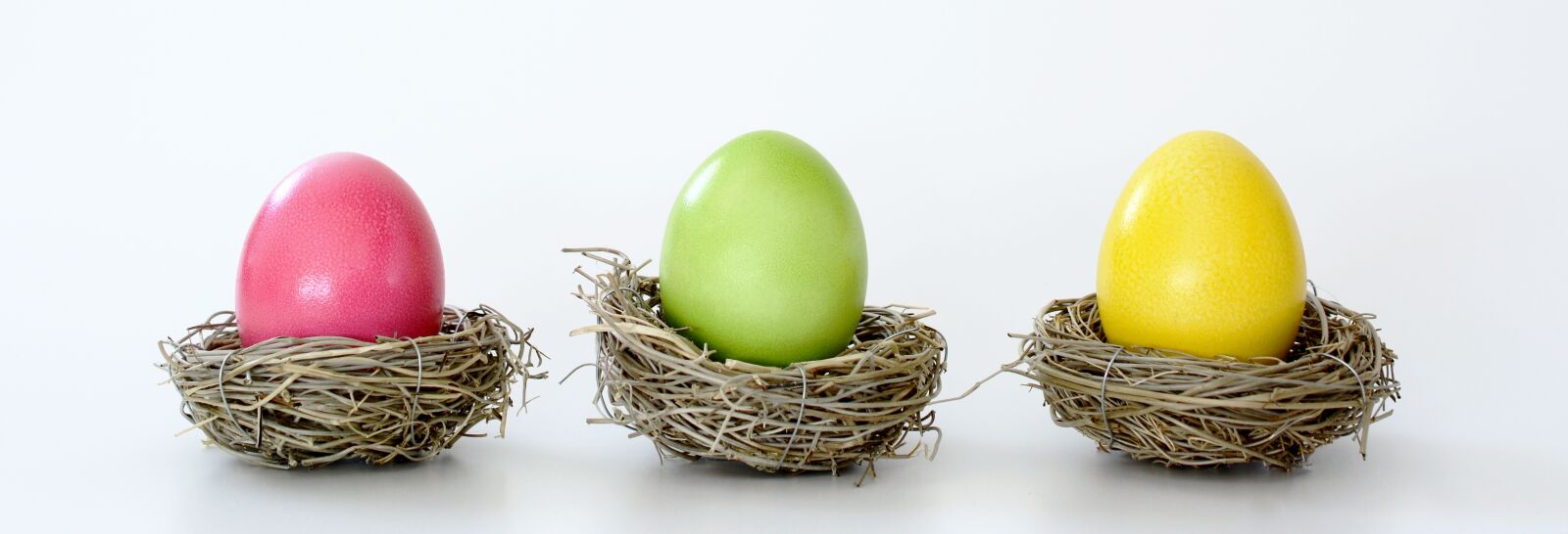 Nikon D7100 sample photo. Easter nest, nest, easter photography