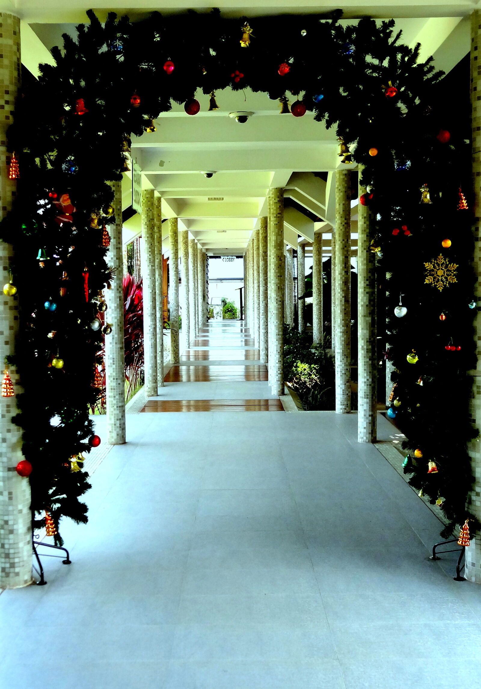 Sony Cyber-shot DSC-HX9V sample photo. Decoration photography