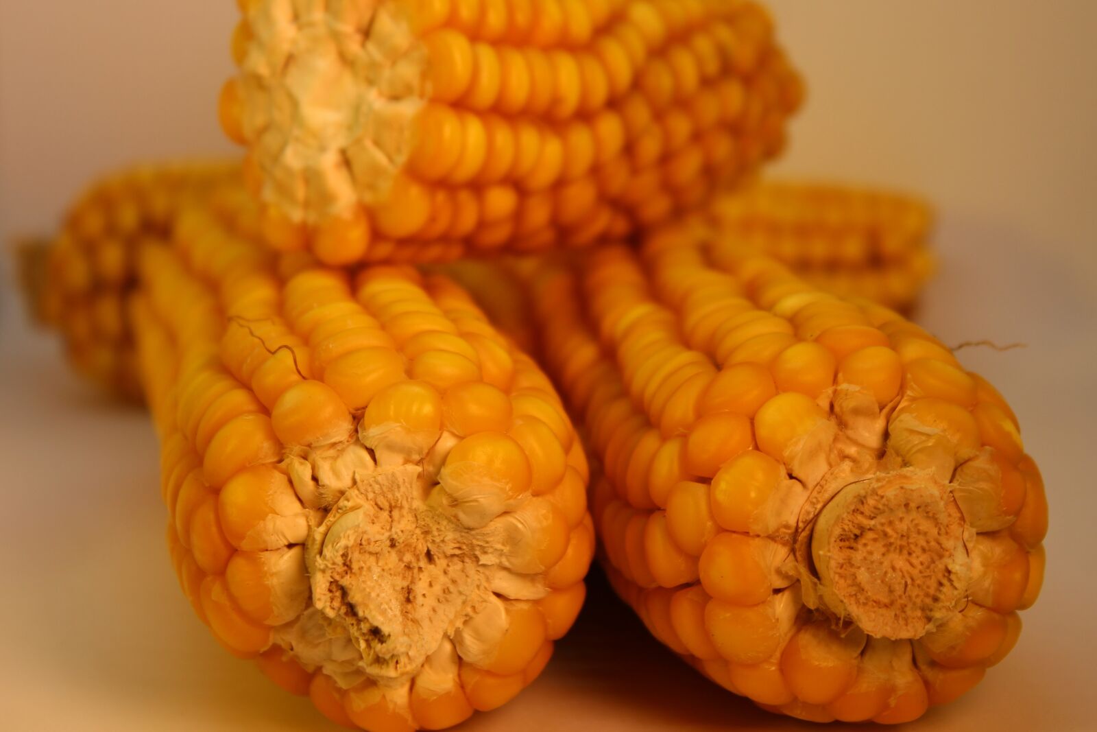 Canon EOS 700D (EOS Rebel T5i / EOS Kiss X7i) sample photo. Corn, vegetables, food photography