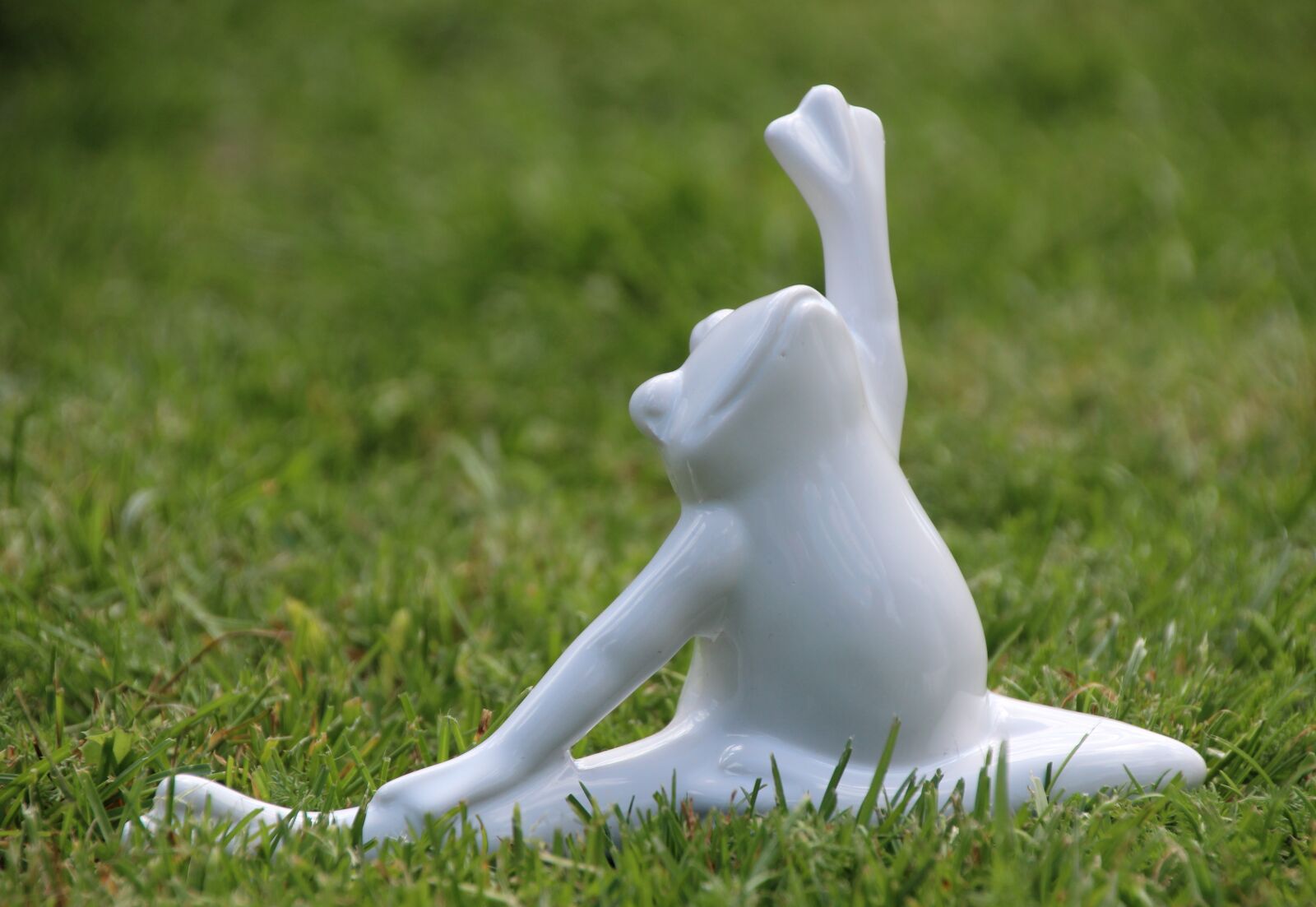 Canon EOS 1200D (EOS Rebel T5 / EOS Kiss X70 / EOS Hi) sample photo. Yoga, frog, gymnastics photography