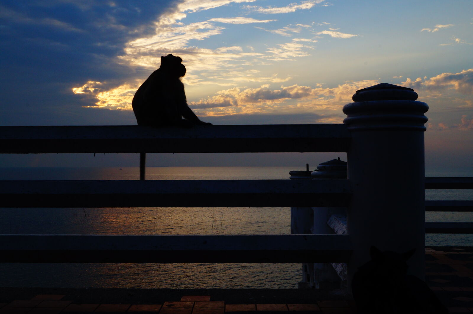 Sony SLT-A37 + Sony DT 18-55mm F3.5-5.6 SAM sample photo. Alone, lonely, sunset photography