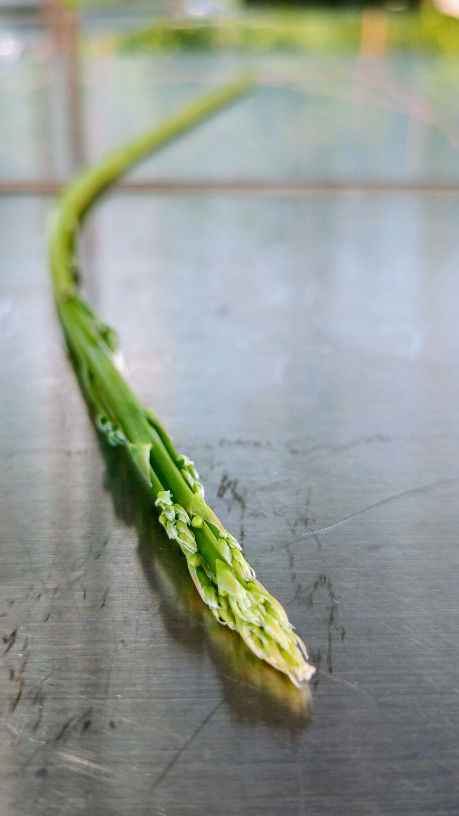 OPPO RENO2 sample photo. Asparagus, garden asparagus, plant photography