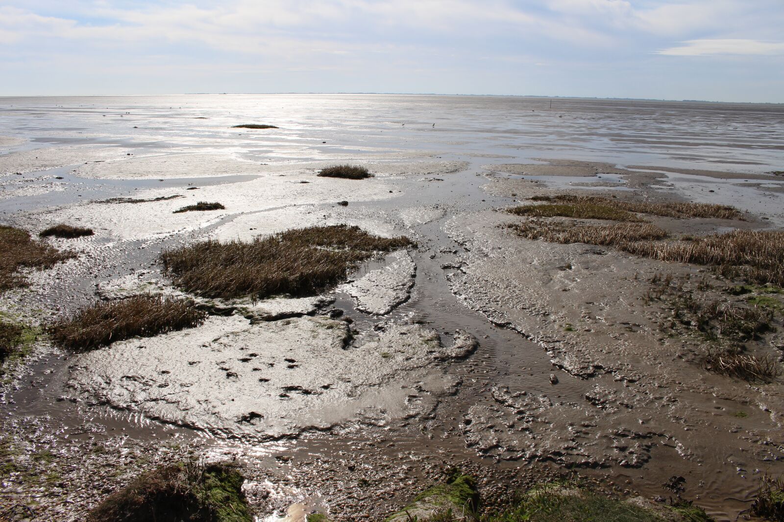 Canon EOS 700D (EOS Rebel T5i / EOS Kiss X7i) sample photo. Ameland, het oerd, wadden photography