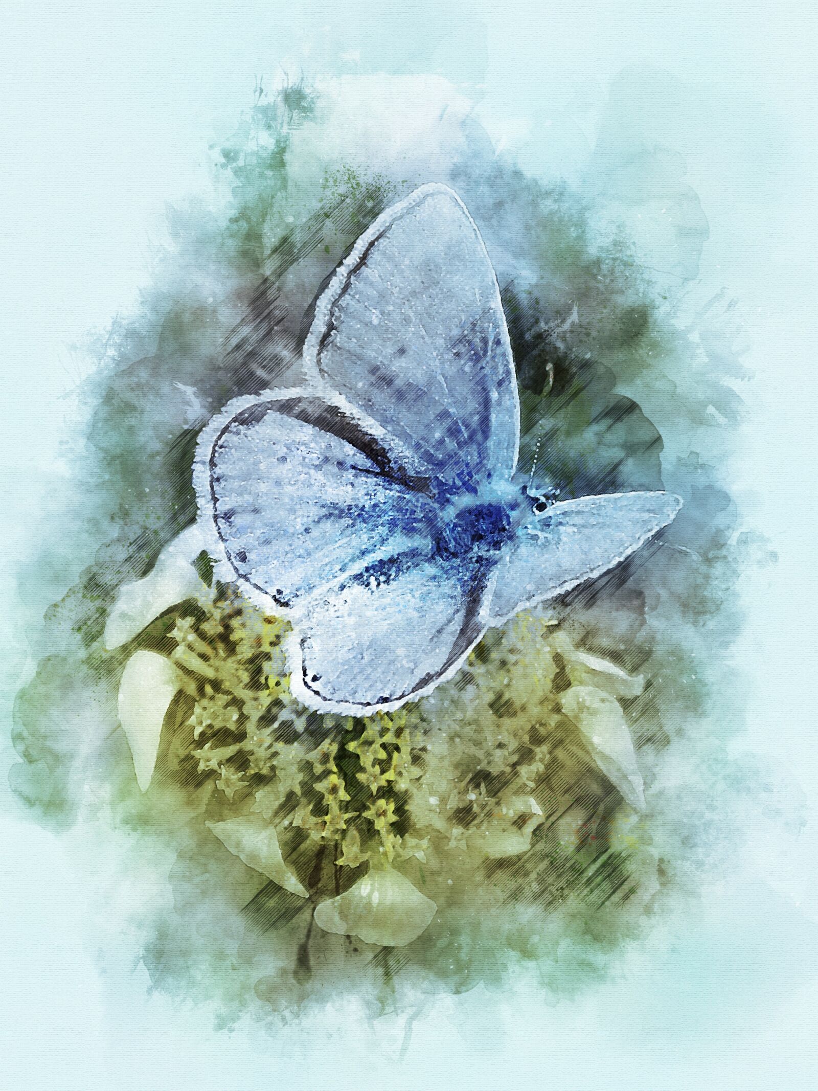 Panasonic DMC-FZ62 sample photo. Butterfly, insect, animal photography