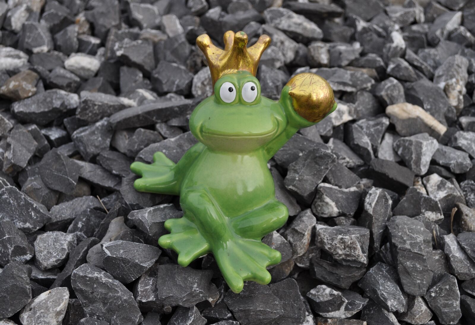 Nikon D5000 sample photo. Frog, frog prince, crown photography