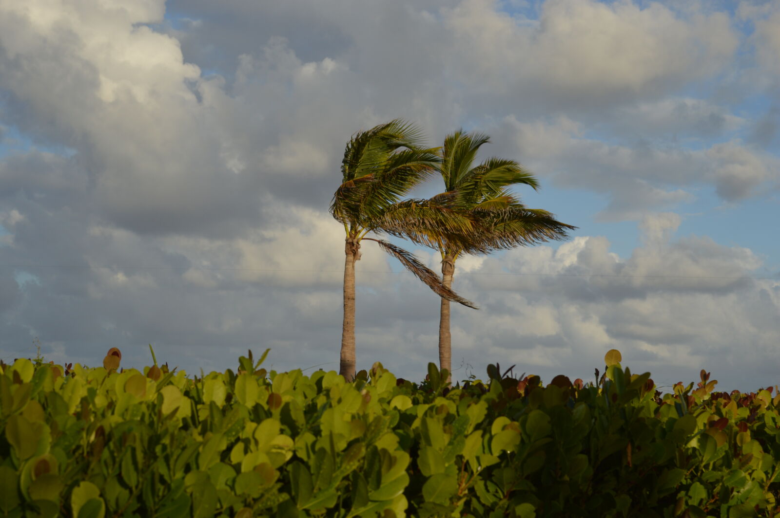 Nikon D3200 sample photo. Miami, beach photography