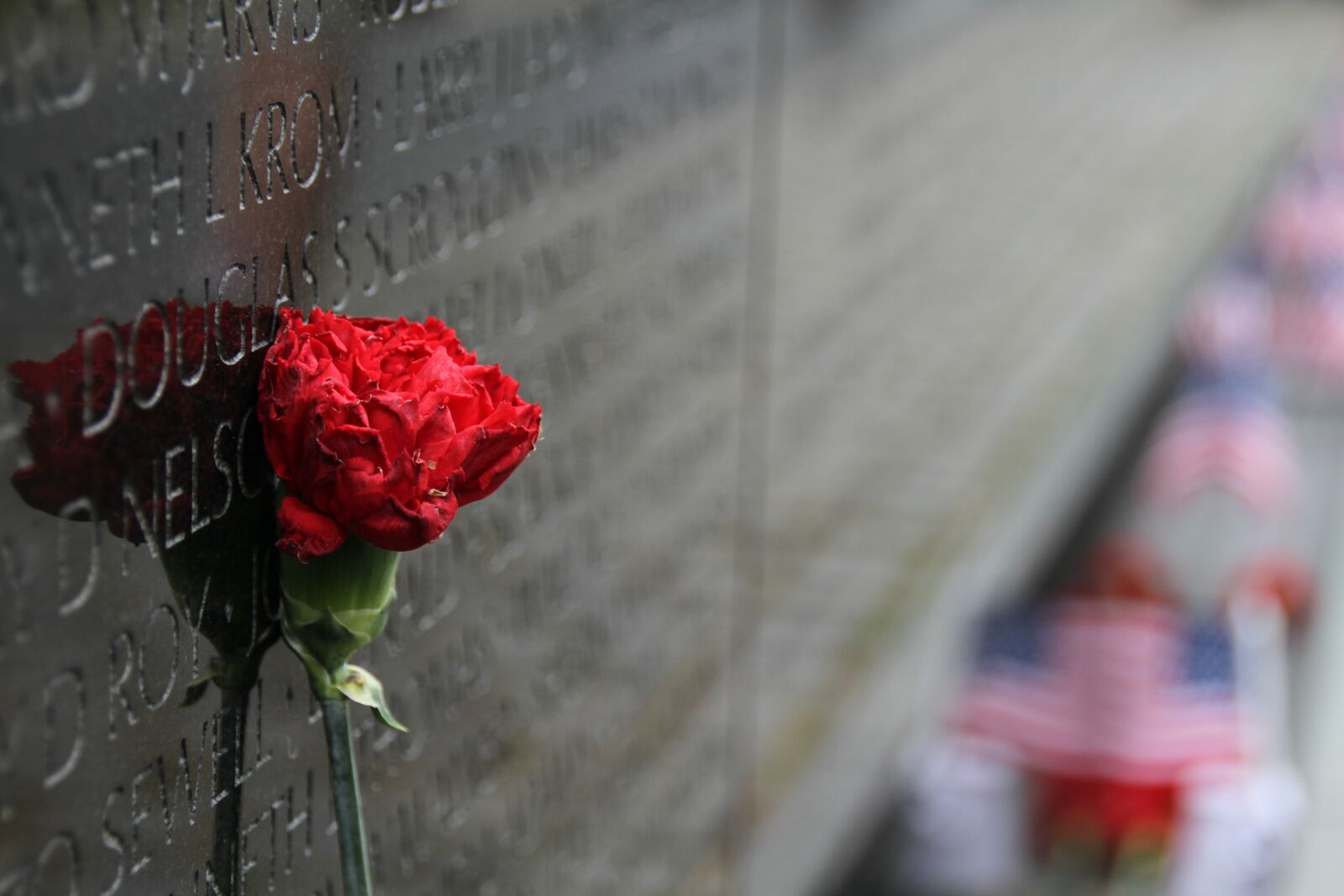 Canon EOS 7D sample photo. Memorial, vietnam, wall photography