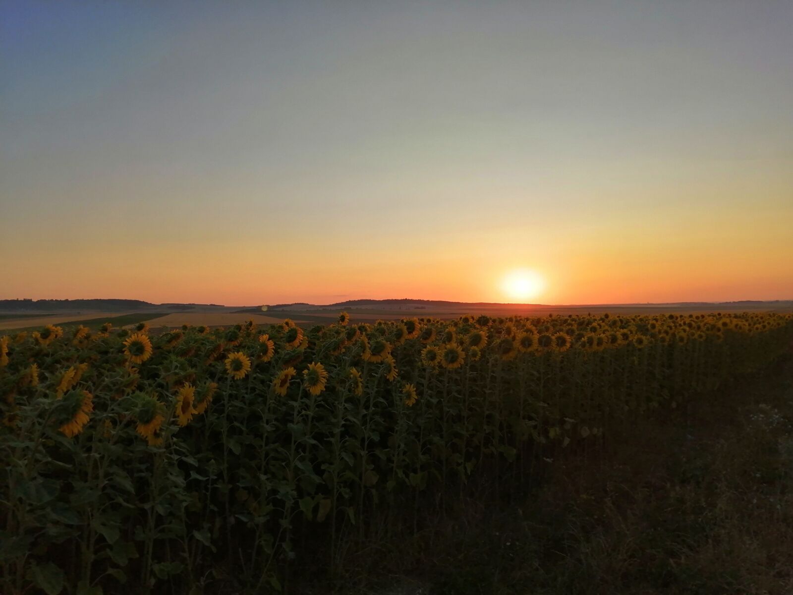 HUAWEI P SMART 2019 sample photo. V chod slunce, slunce photography