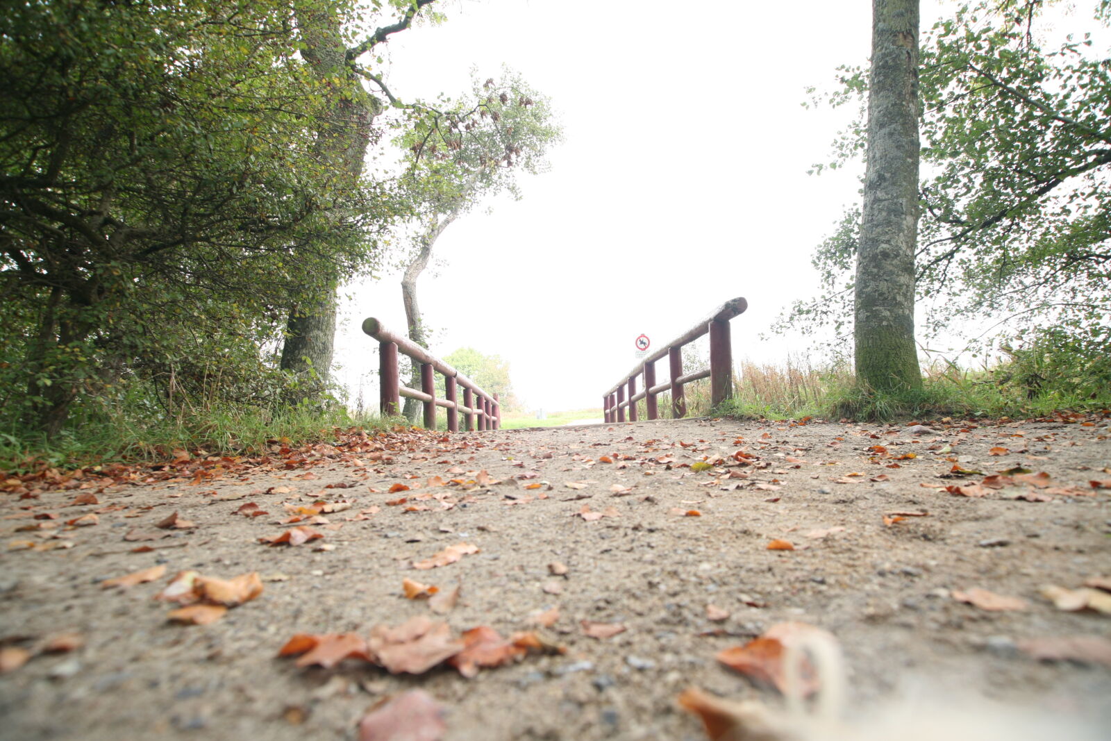Canon EOS 5D sample photo. Autumn, bridge, daylight, fall photography