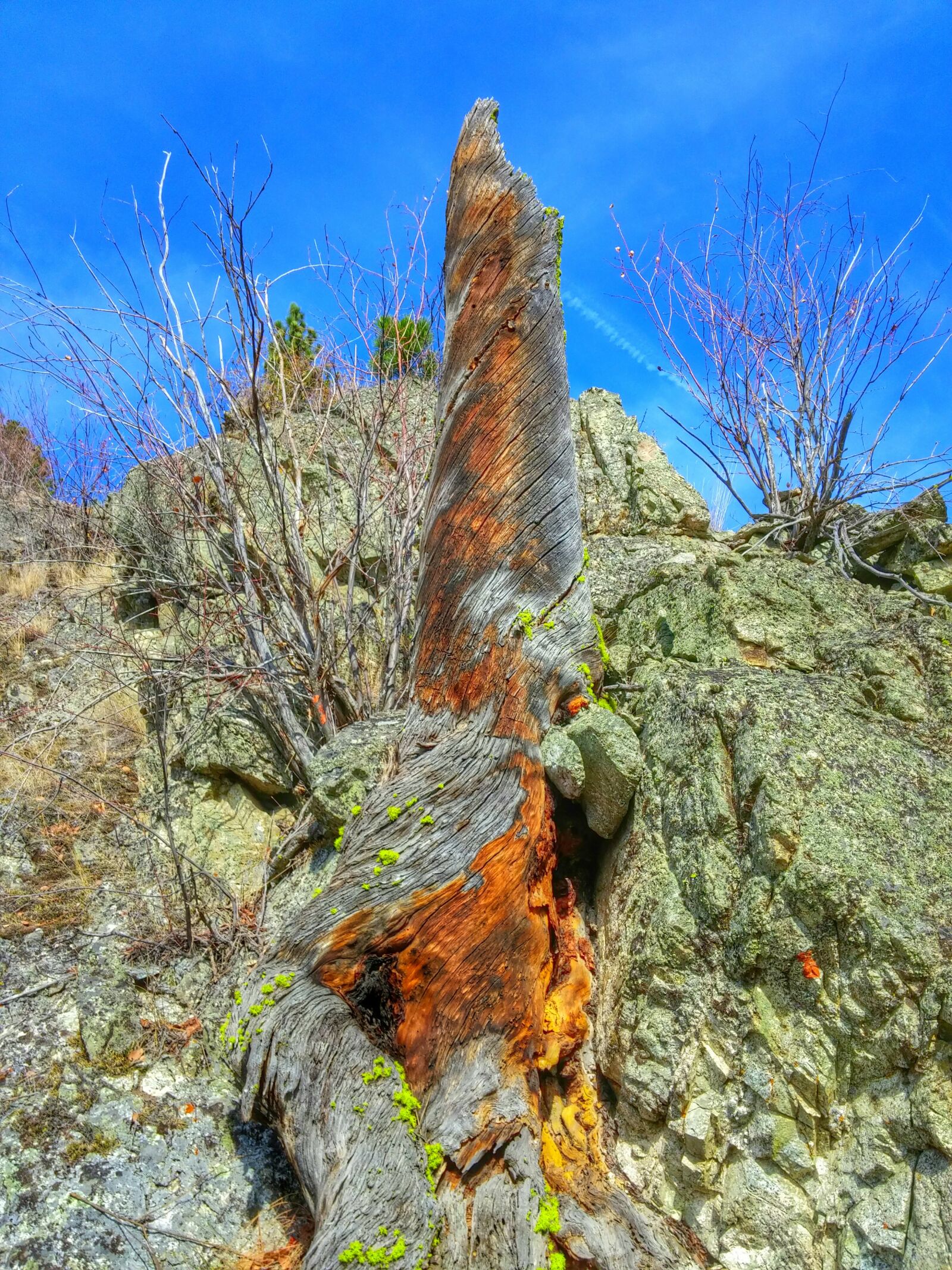 LG G3 sample photo. Stump, mountain, orange photography