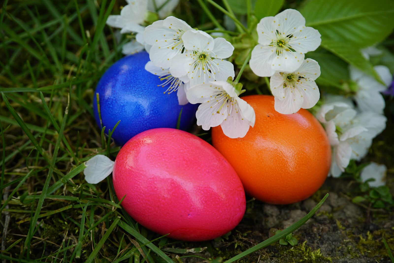Sony a7R II + Sony E PZ 18-105mm F4 G OSS sample photo. Easter, eggs, painted photography
