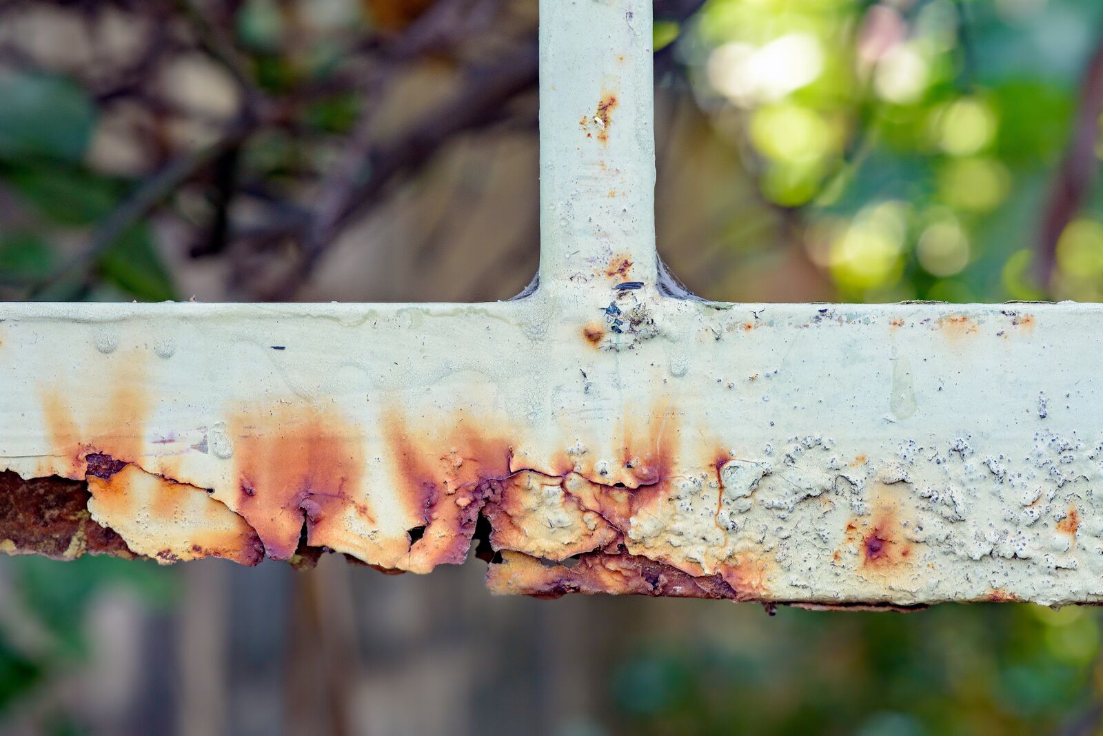 Nikon D750 sample photo. Brown, old, texture photography