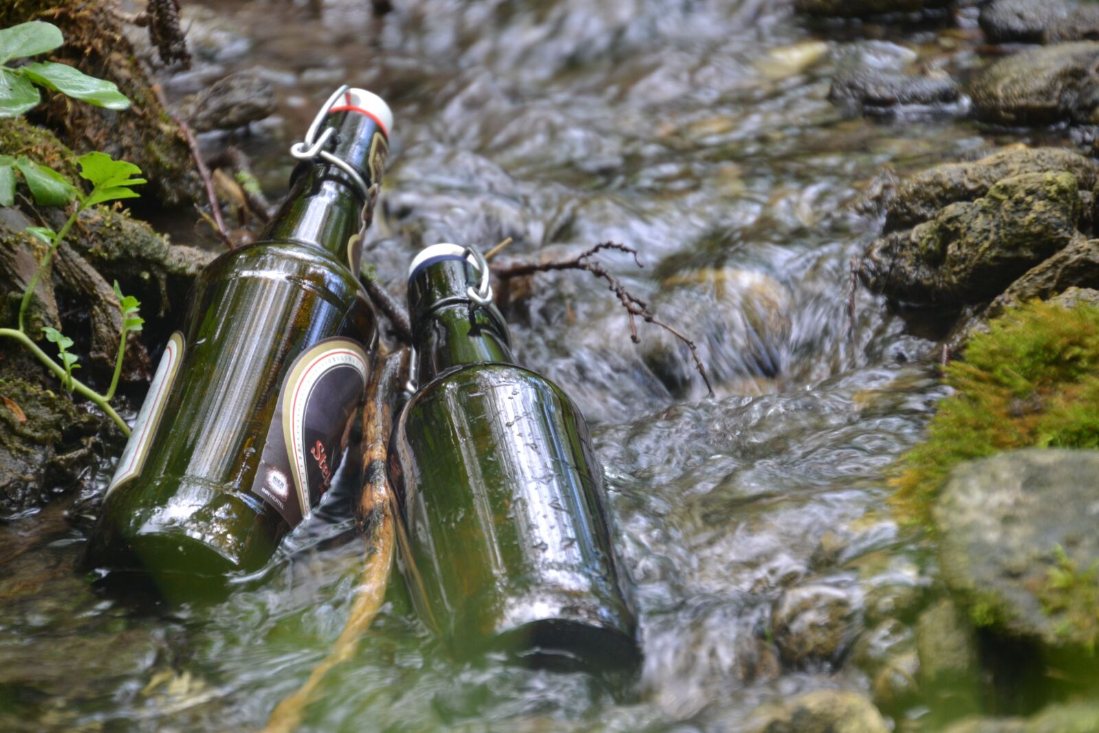 Nikon D3100 sample photo. Beer bottle, beer, bach photography