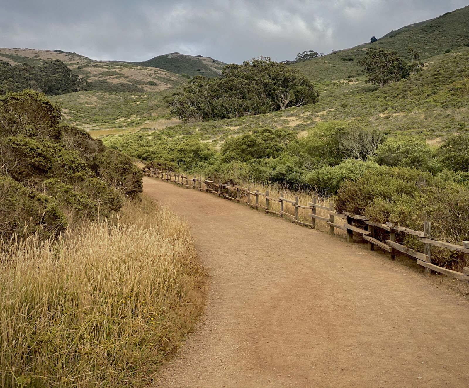 Apple iPhone 11 Pro Max sample photo. Path, hiking, nature photography