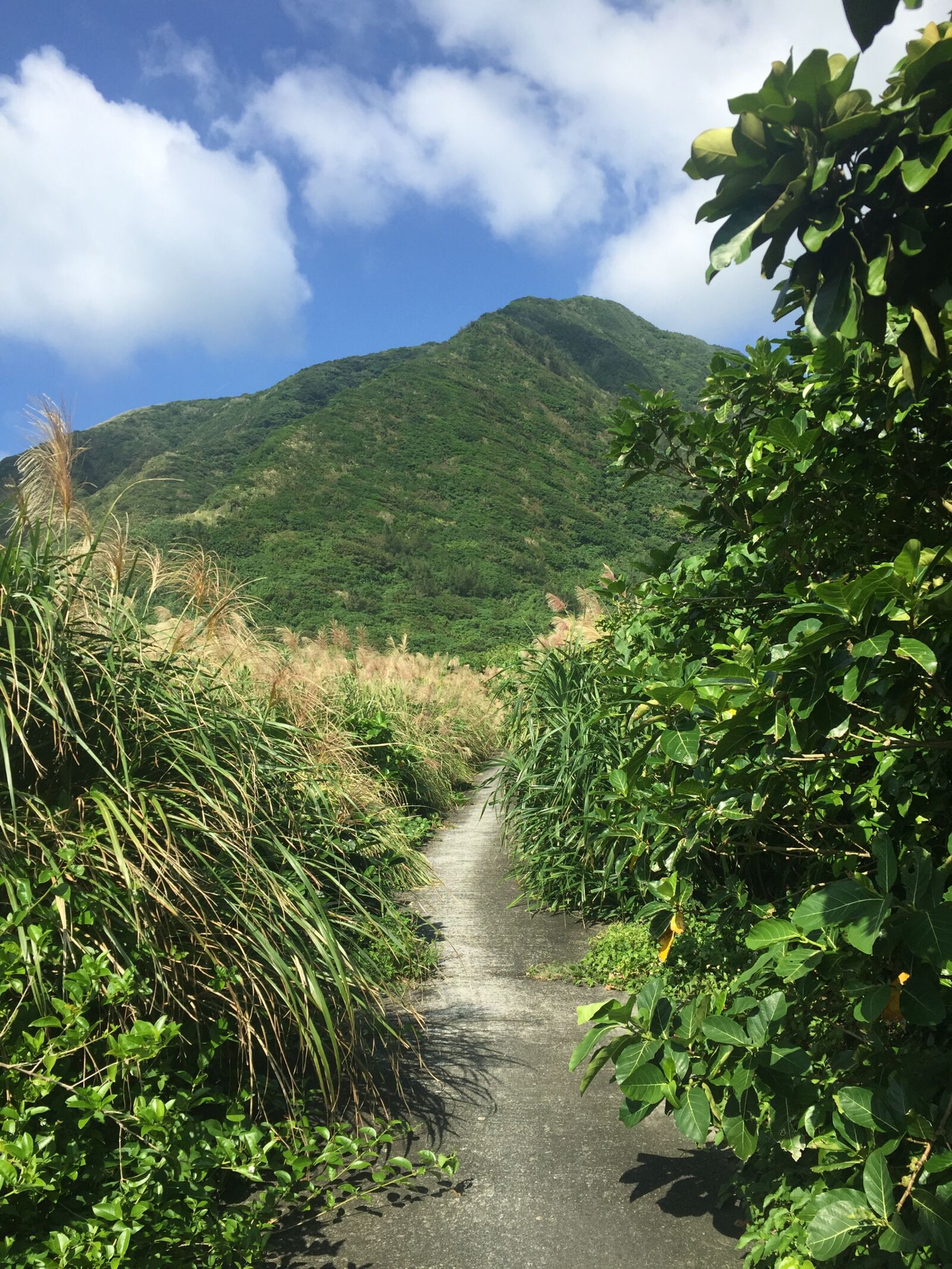 iPhone 6 back camera 4.15mm f/2.2 sample photo. Island, footpath, blue sky photography