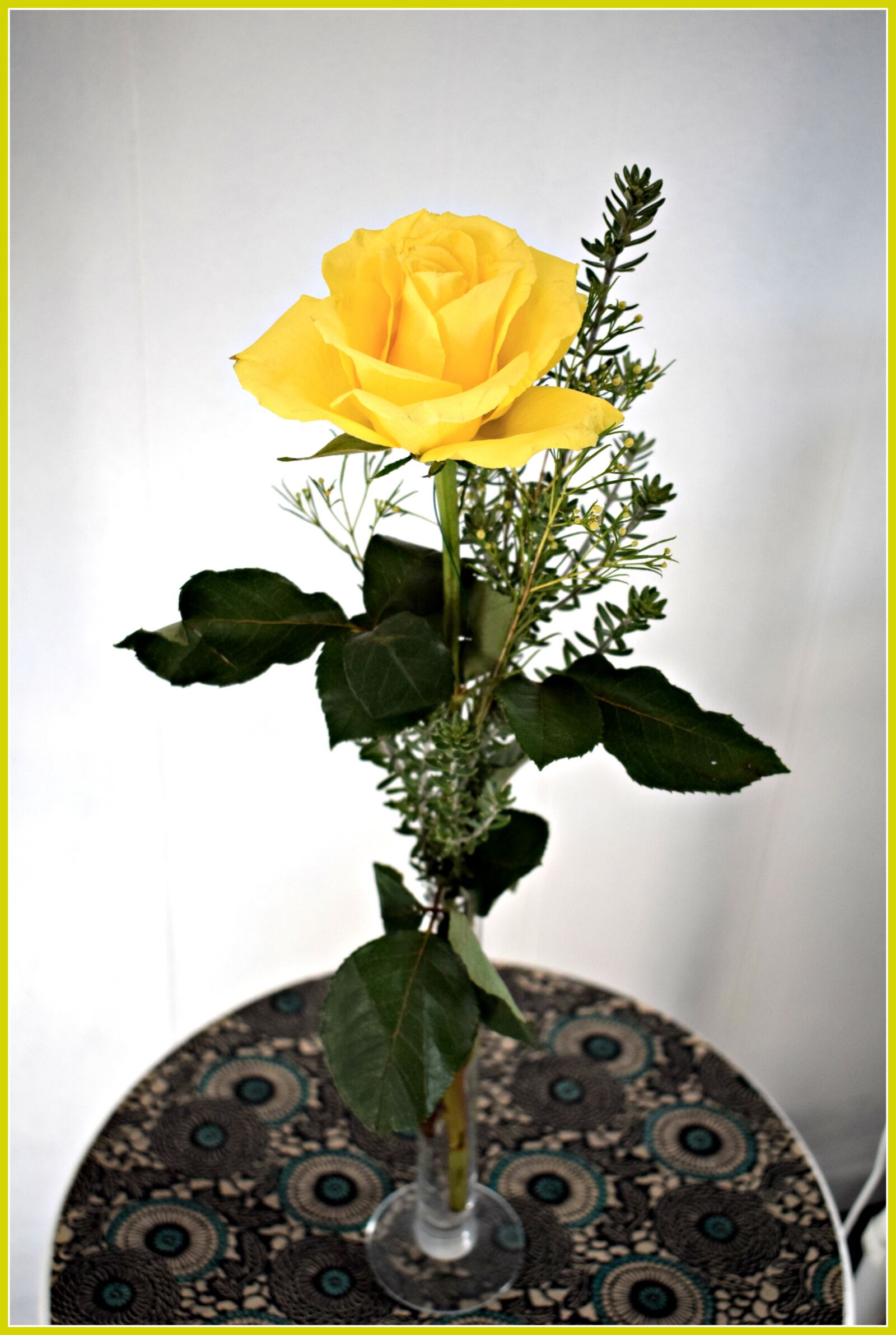 Nikon AF-P DX Nikkor 18-55mm F3.5-5.6G sample photo. Yellow, rose photography