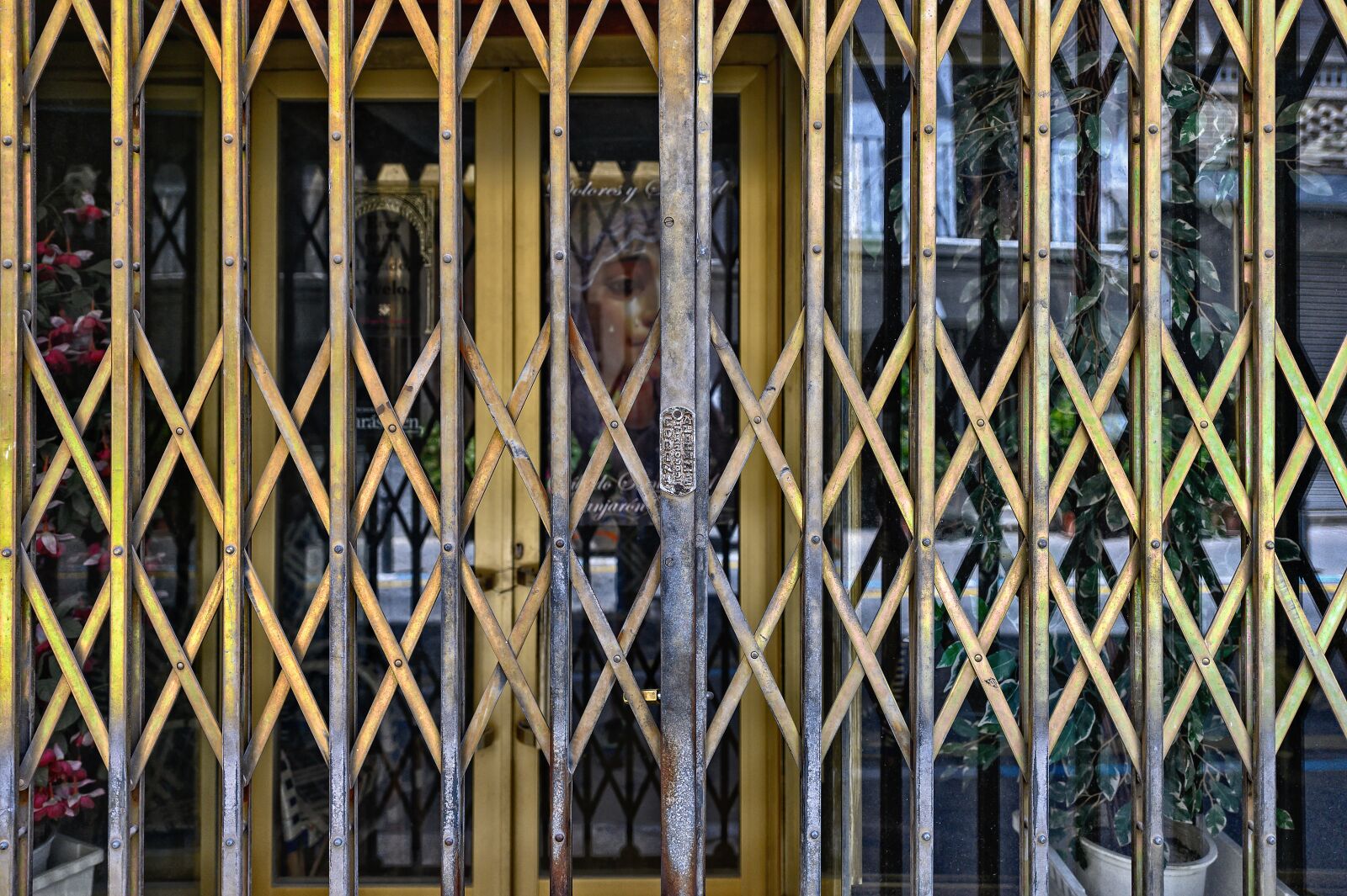 Nikon Z6 sample photo. Grid, closed, metal photography