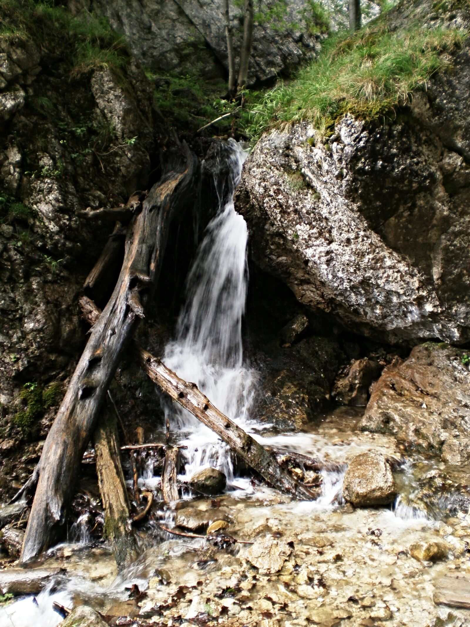 Olympus T10,X27 sample photo. J no kove diery photography