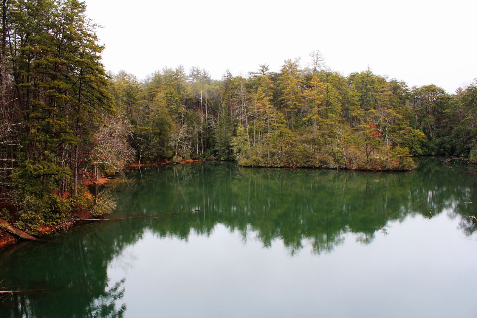 Canon EOS 550D (EOS Rebel T2i / EOS Kiss X4) sample photo. Water, nature, lake photography