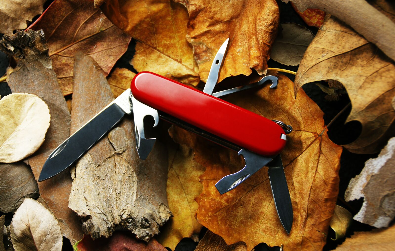 Canon EOS 60D sample photo. Saber, knife, swiss army photography