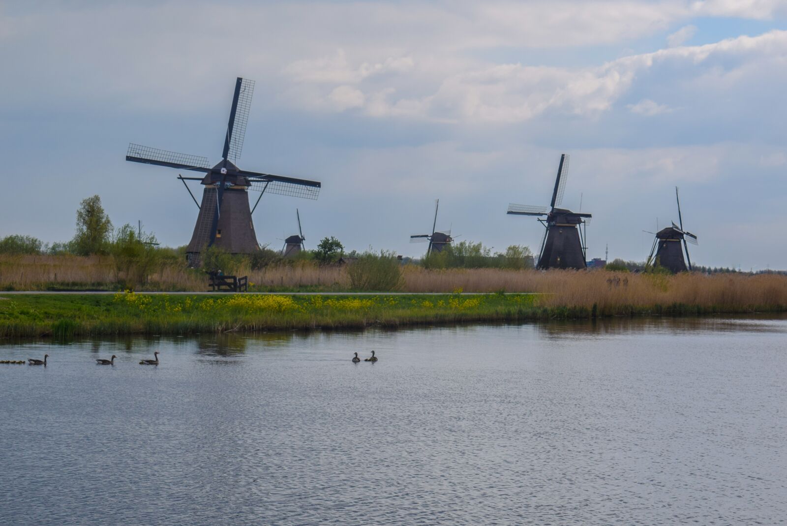 Nikon D5300 sample photo. Mill, netherlands, water photography