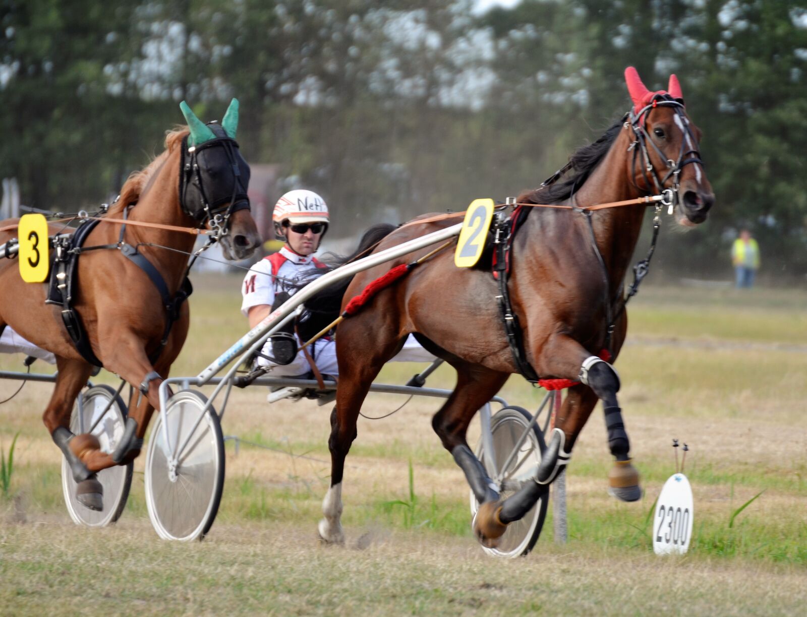 Nikon D5100 sample photo. Traber, racing, sulky photography