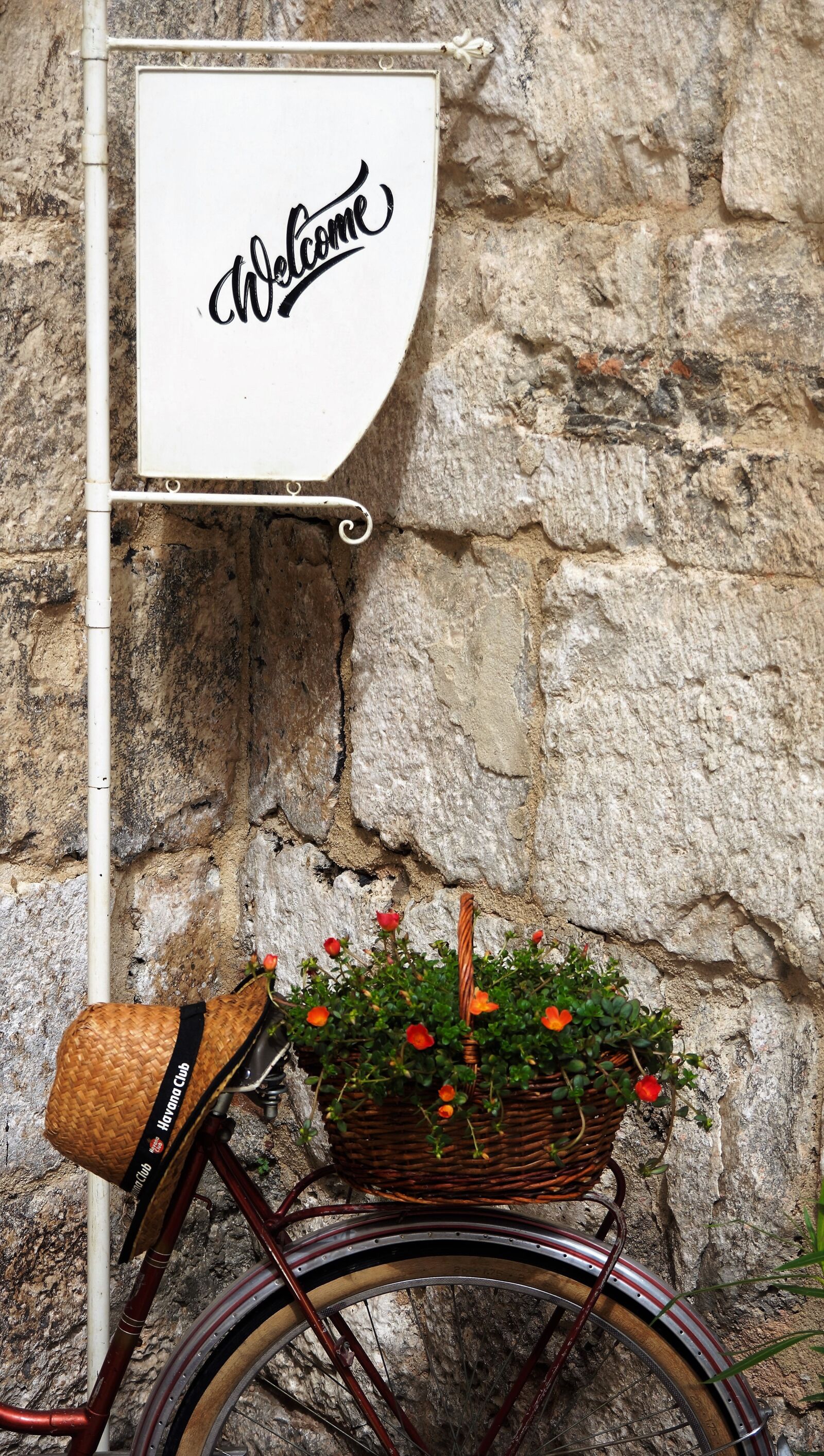 Sony Alpha NEX-7 sample photo. Bicycle, welcome, flowers photography