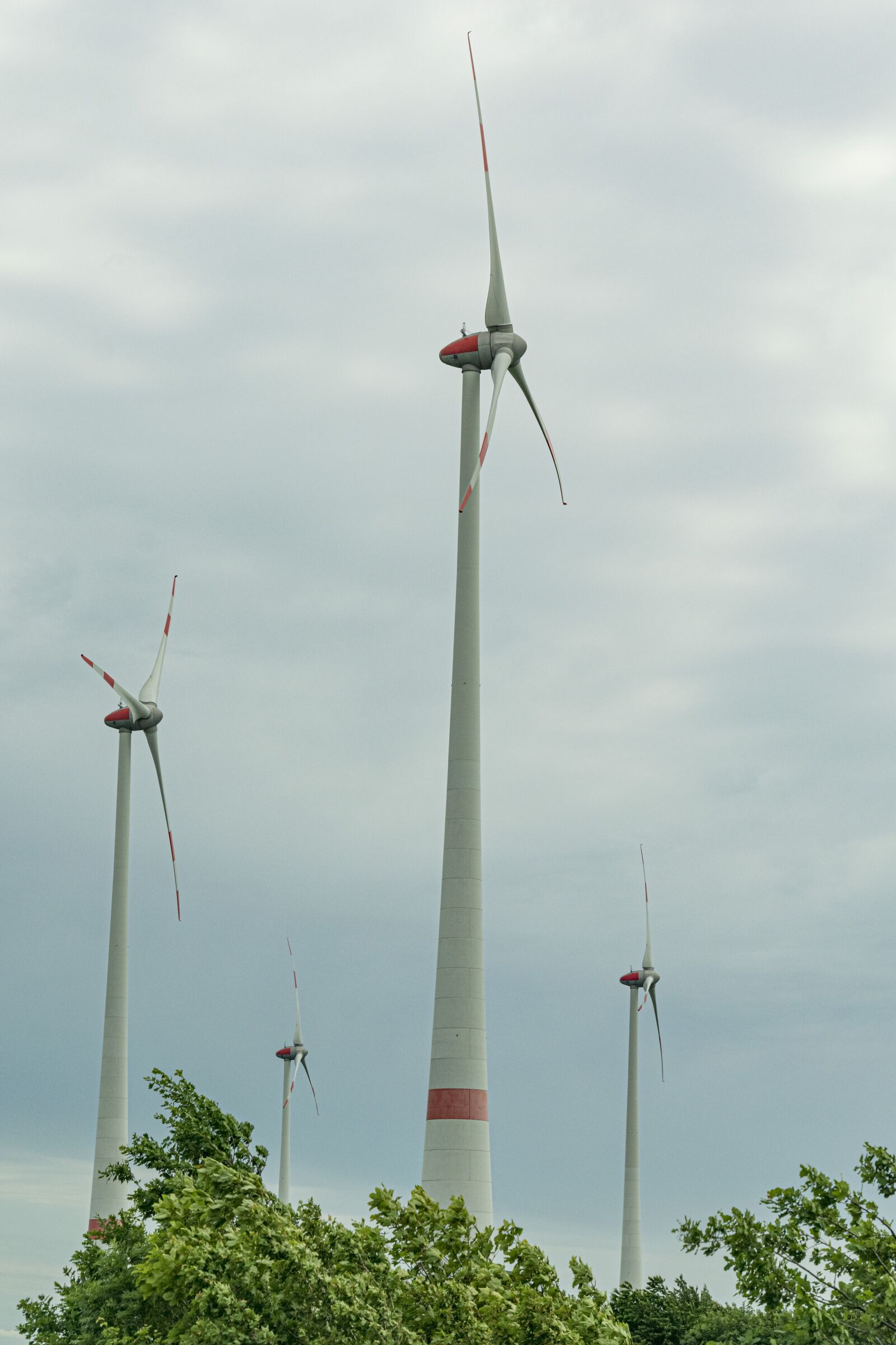 Nikon D5300 sample photo. Wind edges, current, power photography