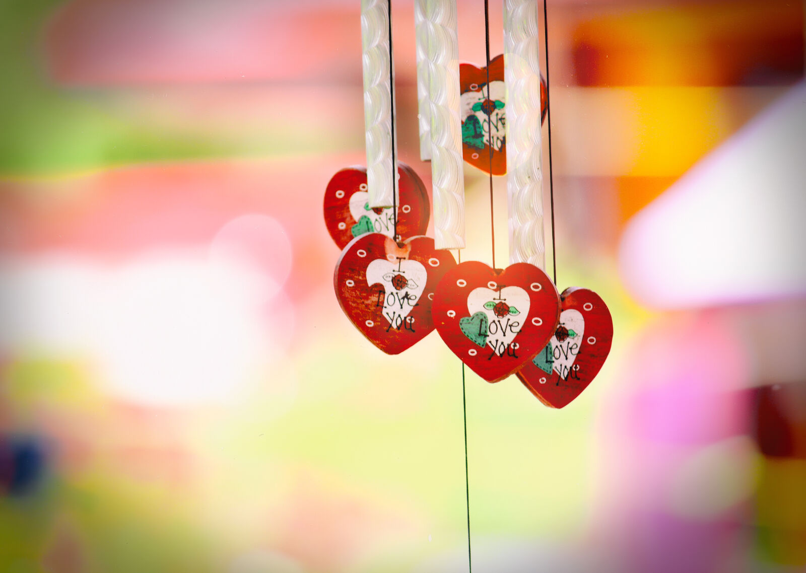 Canon EOS 700D (EOS Rebel T5i / EOS Kiss X7i) sample photo. Decoration, design, hanging, love photography