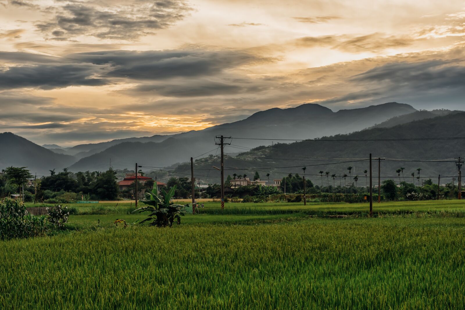 Nikon D750 sample photo. Landscape, yuan tian, taiwan photography
