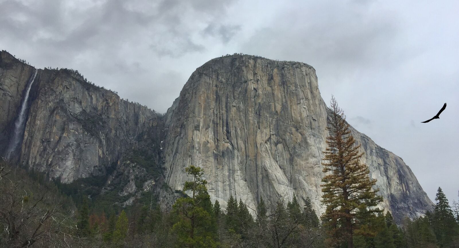 iPhone 6 Plus back camera 4.15mm f/2.2 sample photo. El capitan, yosemite, california photography