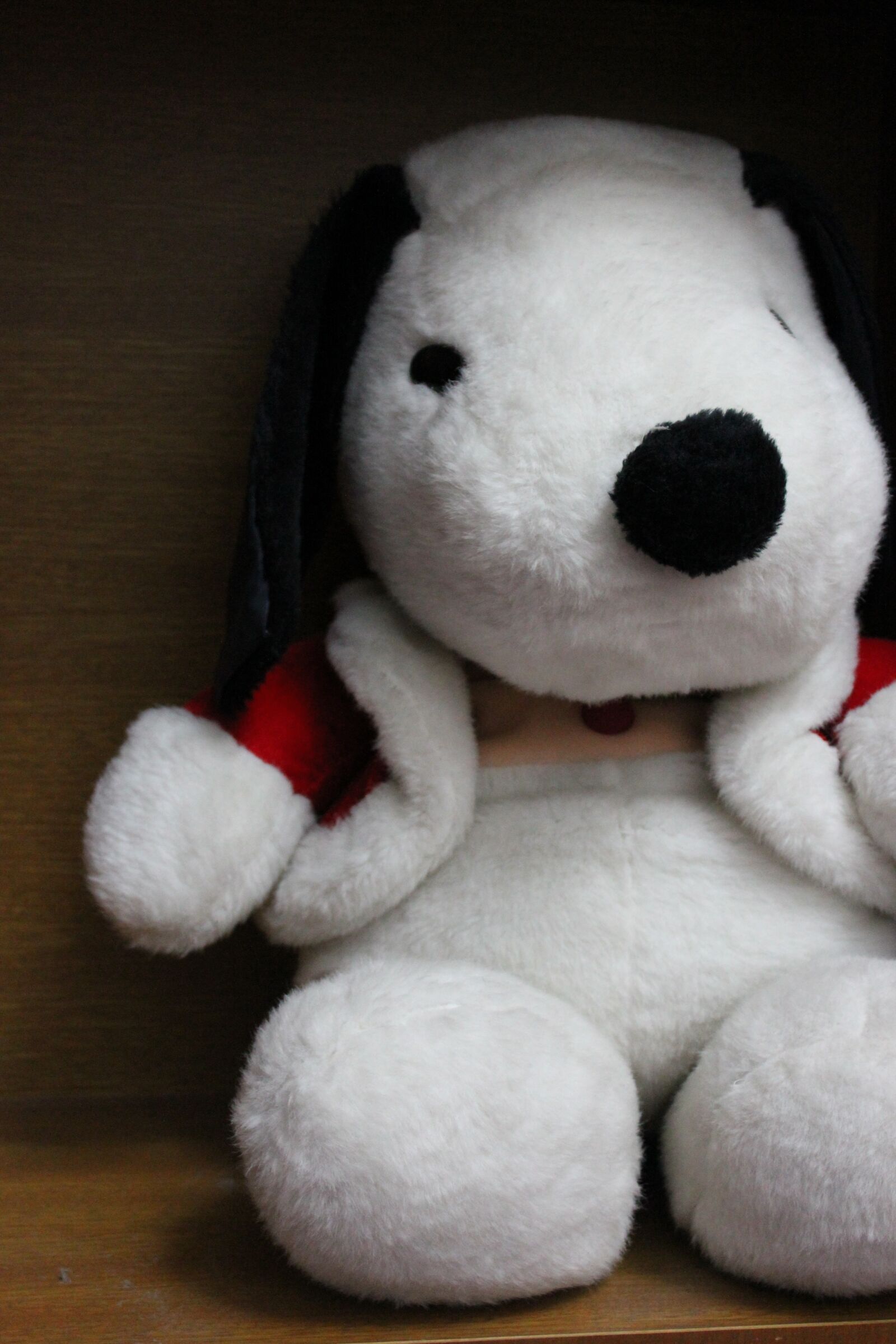 Canon EOS 550D (EOS Rebel T2i / EOS Kiss X4) sample photo. Toys, dog, happy photography