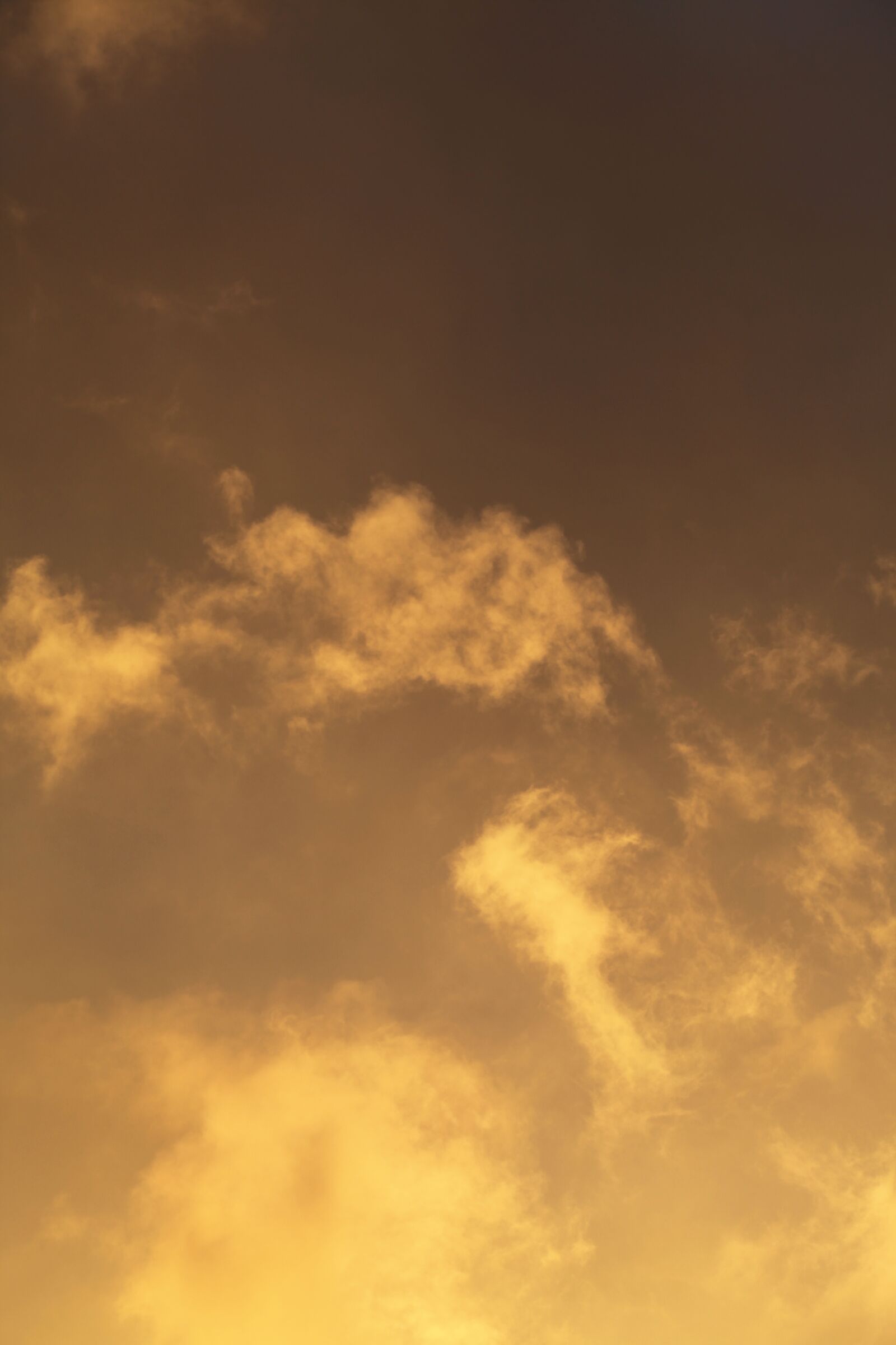 Canon EOS 5D Mark II sample photo. Golden, yellow, evening photography