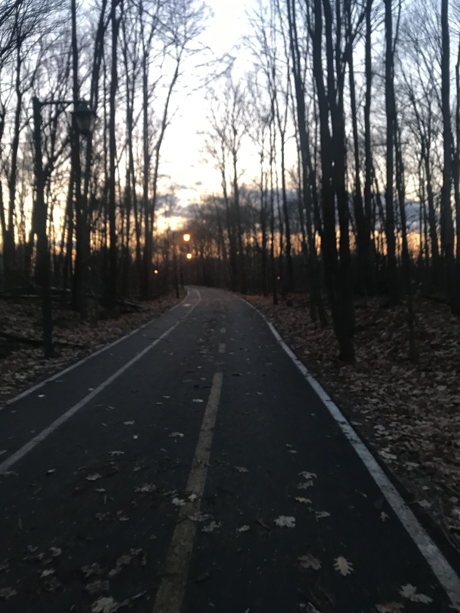iPhone 7 back camera 3.99mm f/1.8 sample photo. Track, bicycle path, tree photography