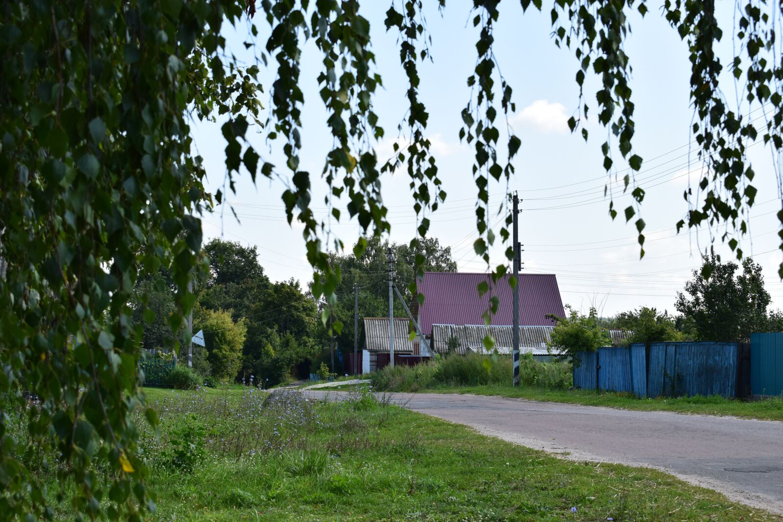 Nikon D3300 sample photo. Russia, village, beauty photography