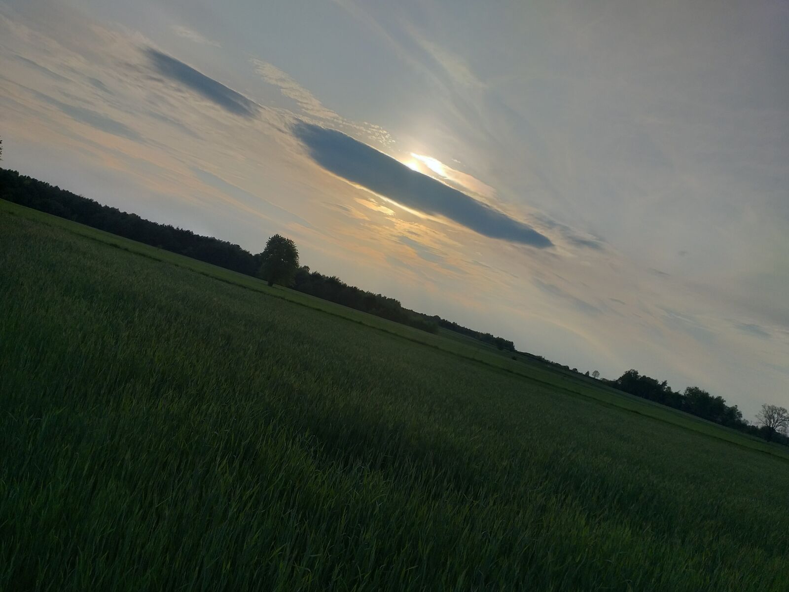 Samsung Galaxy A6+ sample photo. Landscape, nature, the sun photography