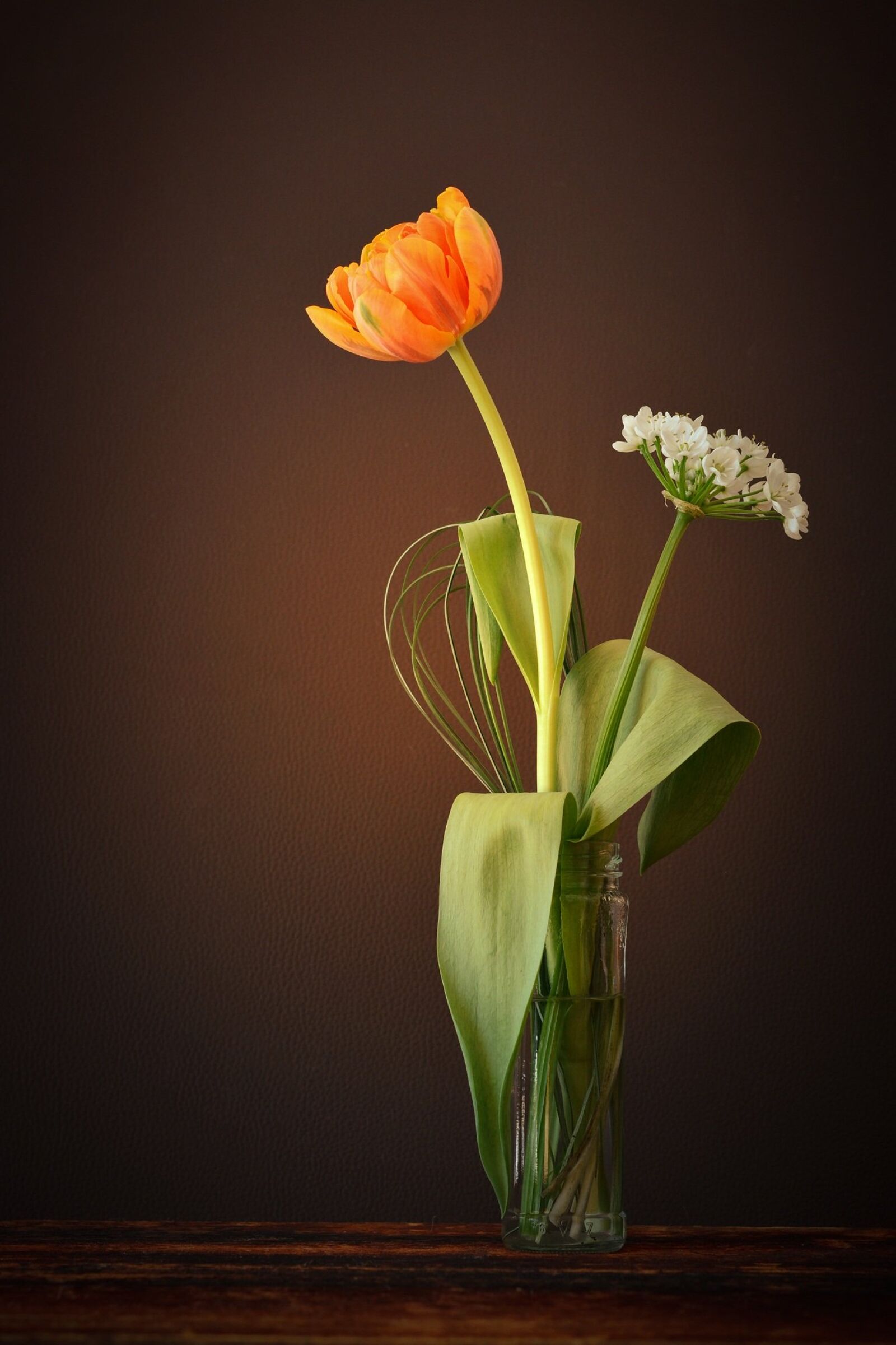 Nikon D7100 sample photo. Tulip, flower, orange photography
