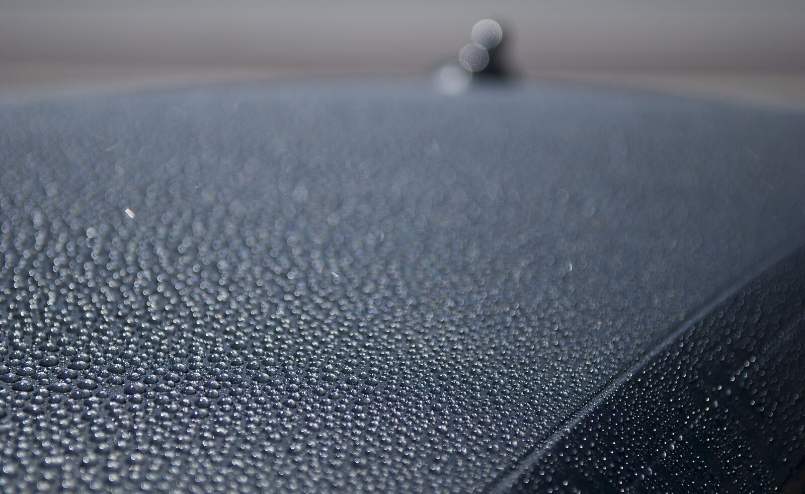 Nikon D60 sample photo. Waxed, car, vehicle photography