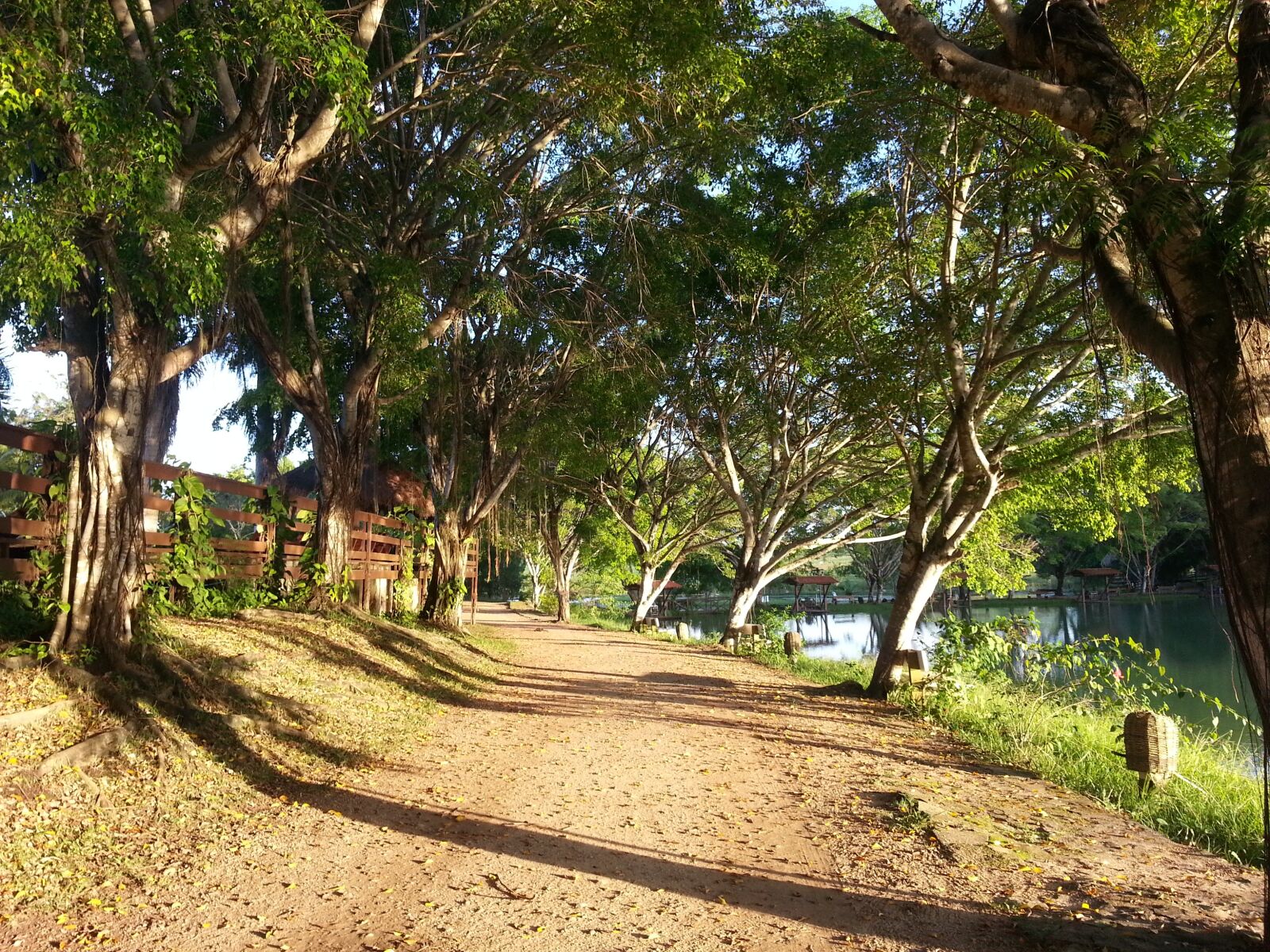Samsung Galaxy Note2 sample photo. Path, road, trees photography