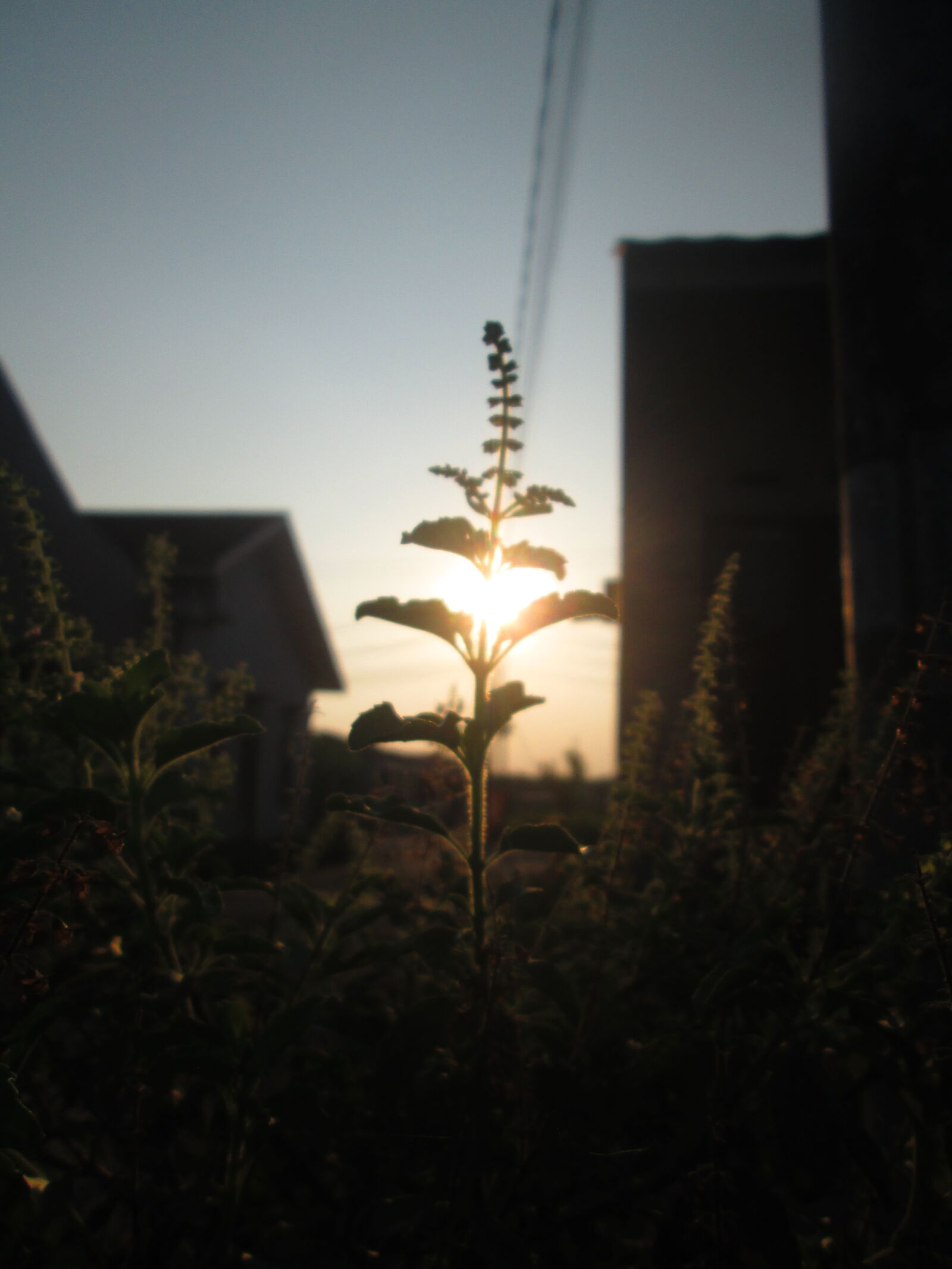 Canon PowerShot A2300 sample photo
