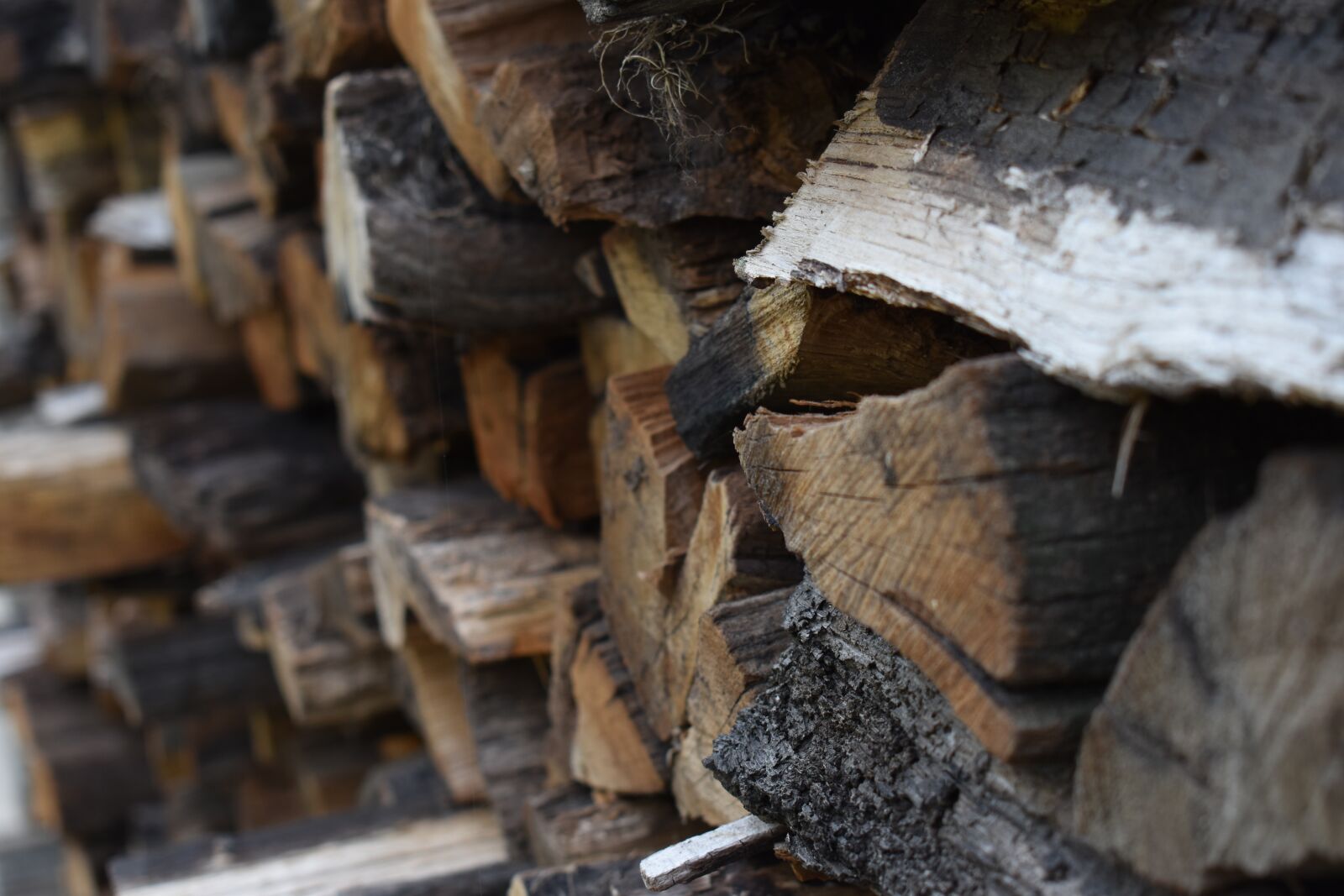 Nikon D3500 sample photo. Wood, nature, heat photography