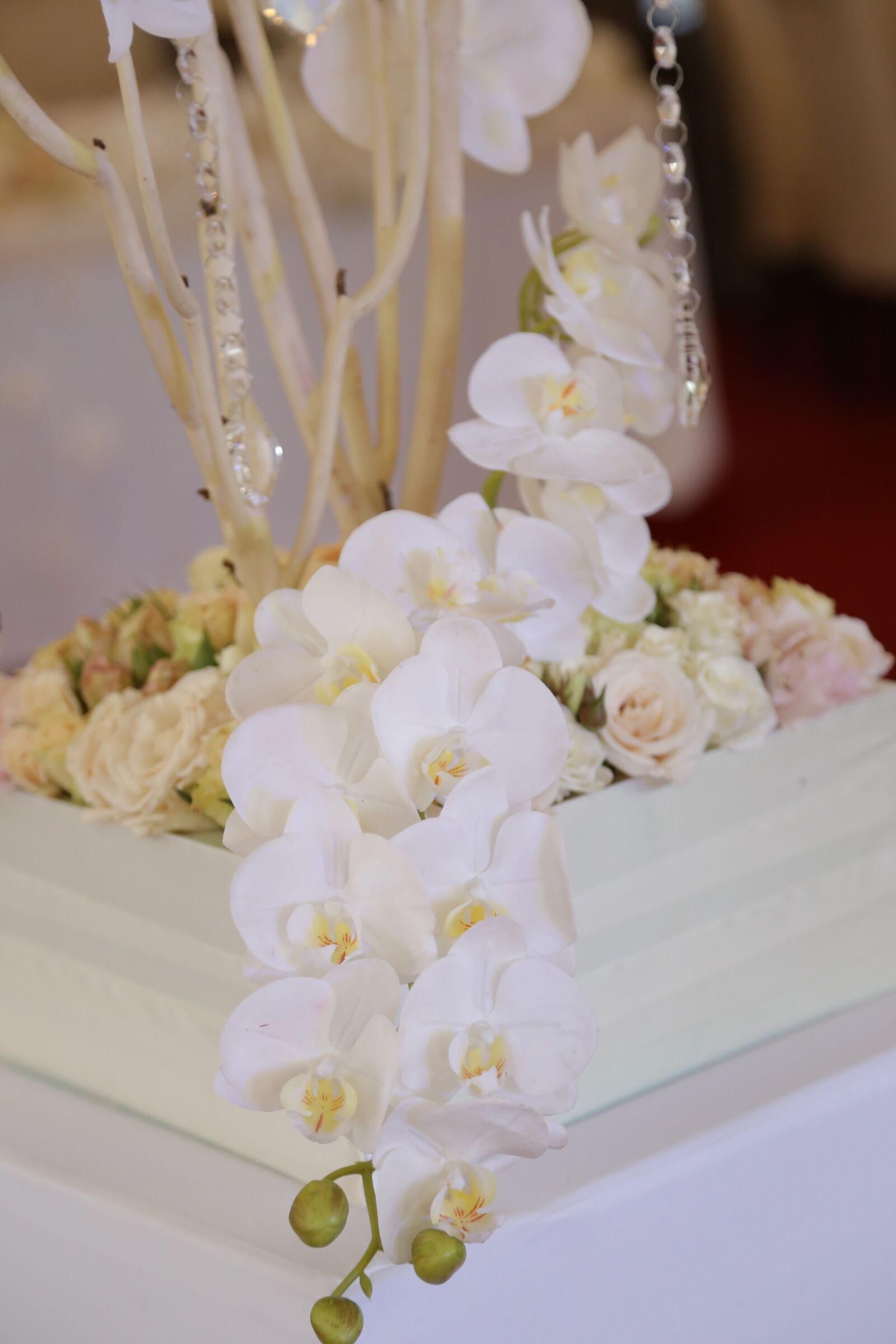 Canon EF 24-105mm F4L IS USM sample photo. White flower, orchid, arrangement photography