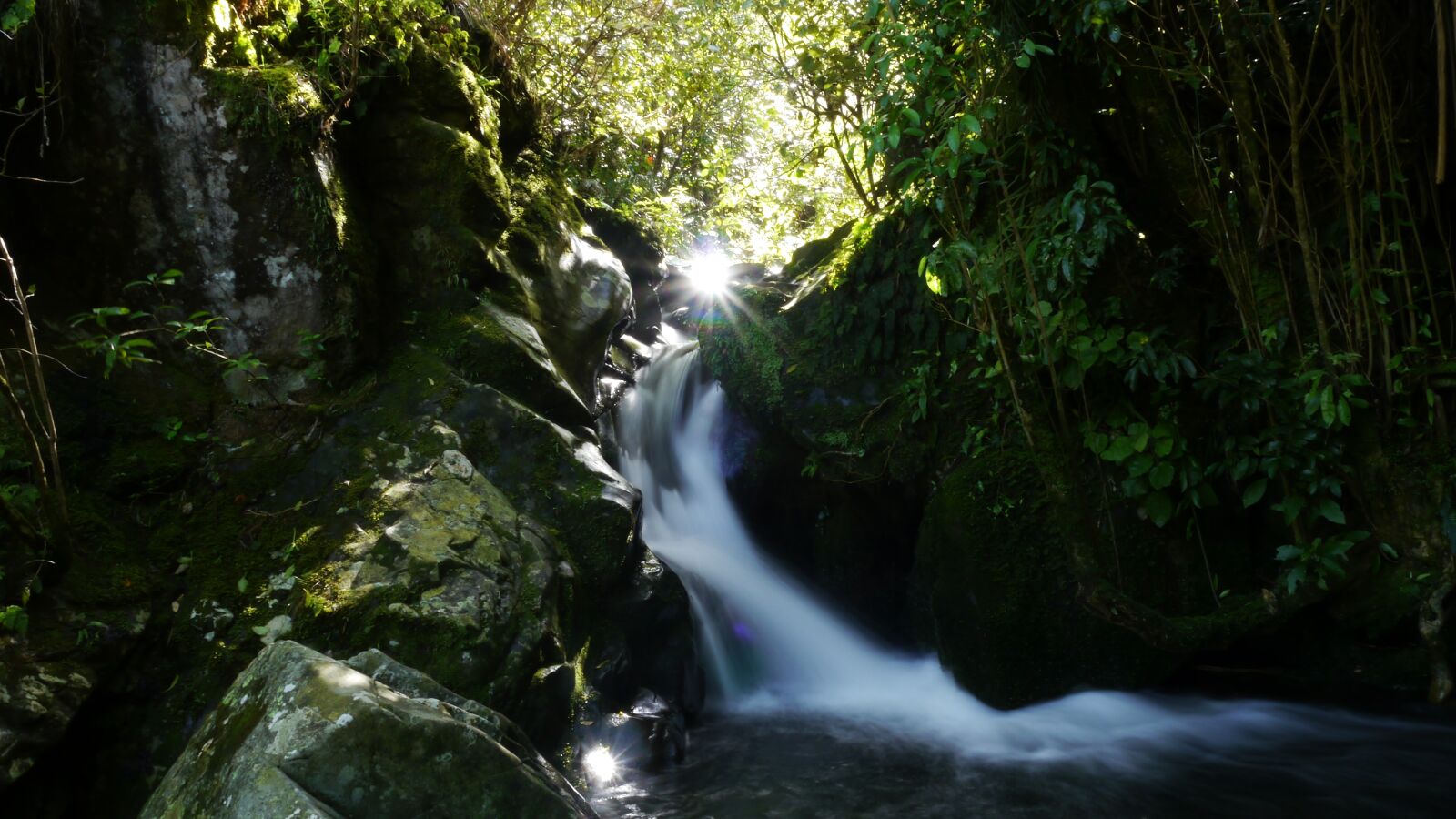 Panasonic Lumix DMC-G5 sample photo. New zealand, landscape, nature photography