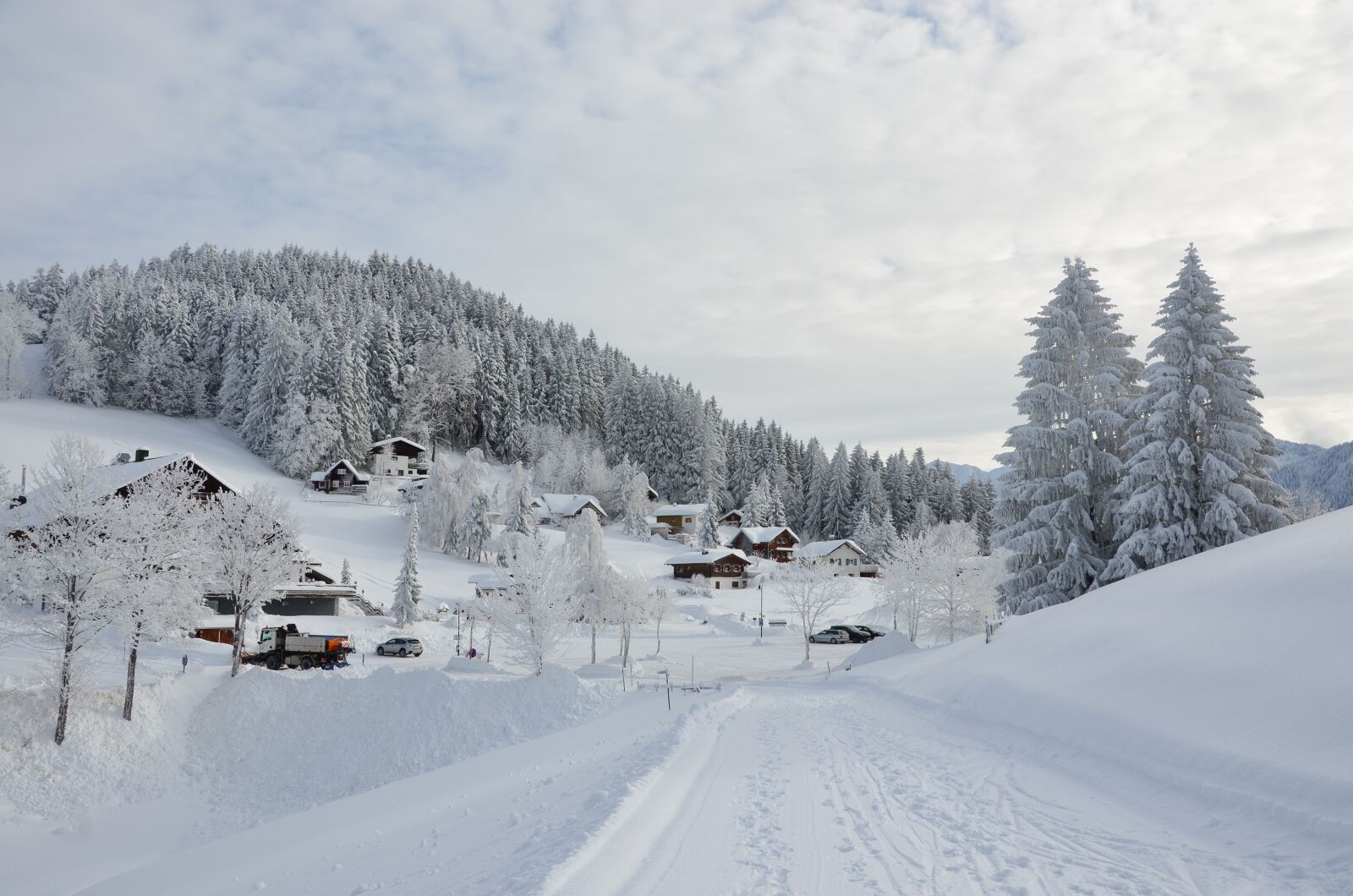 Nikon D5100 sample photo. Winter, snow, nature photography