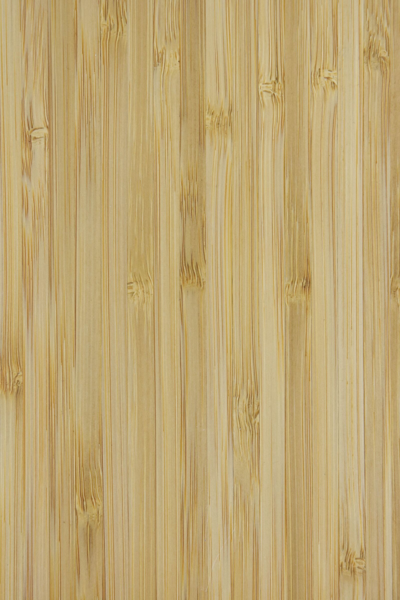Nikon D7200 sample photo. The background, wood, wooden photography