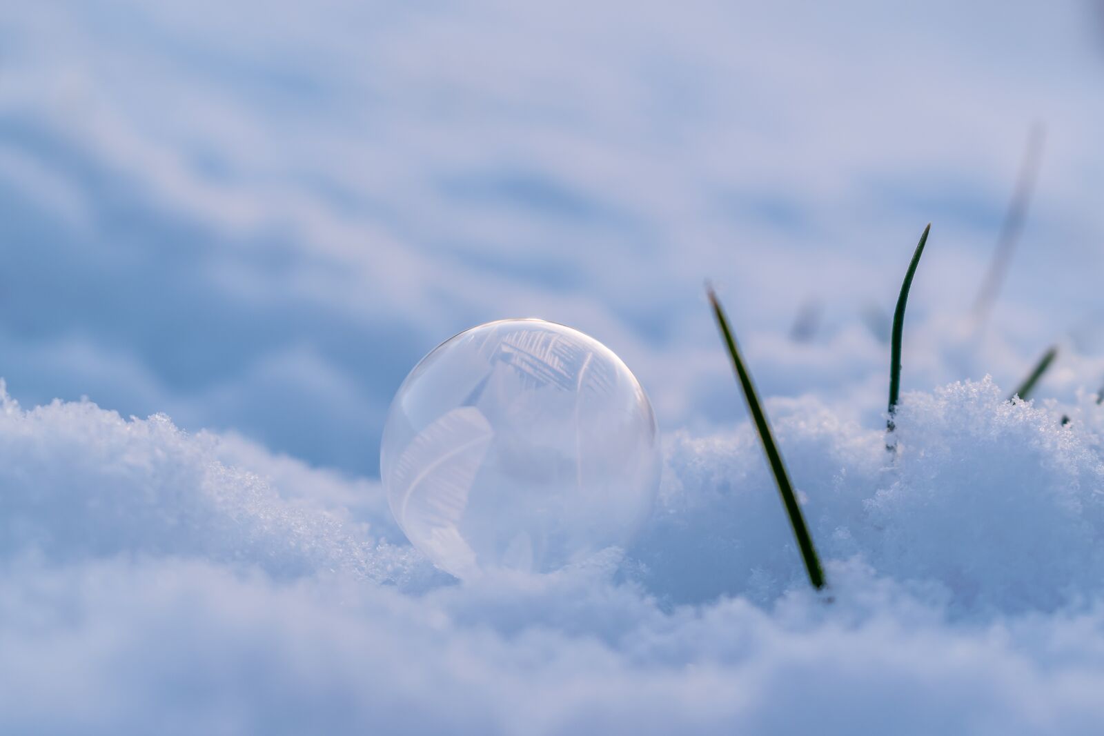 Nikon D5300 sample photo. Soap bubble, frost, winter photography